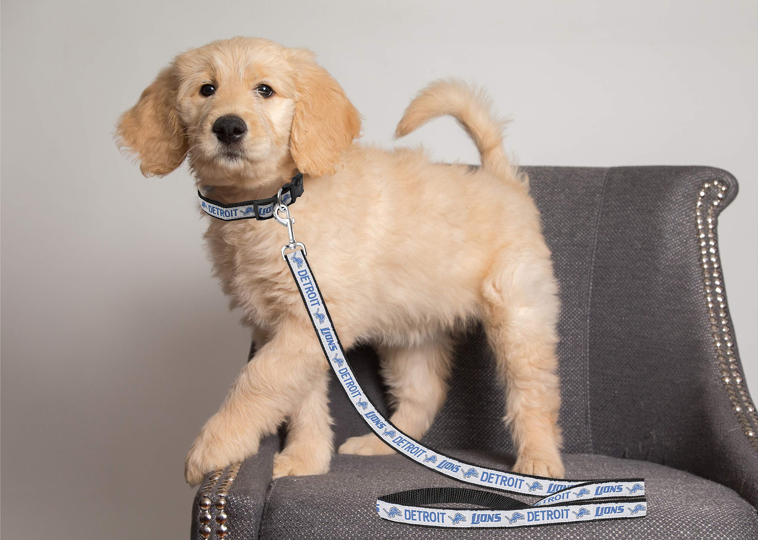 Pets First Nfl Pet Leash, Detroit Lions, Medium