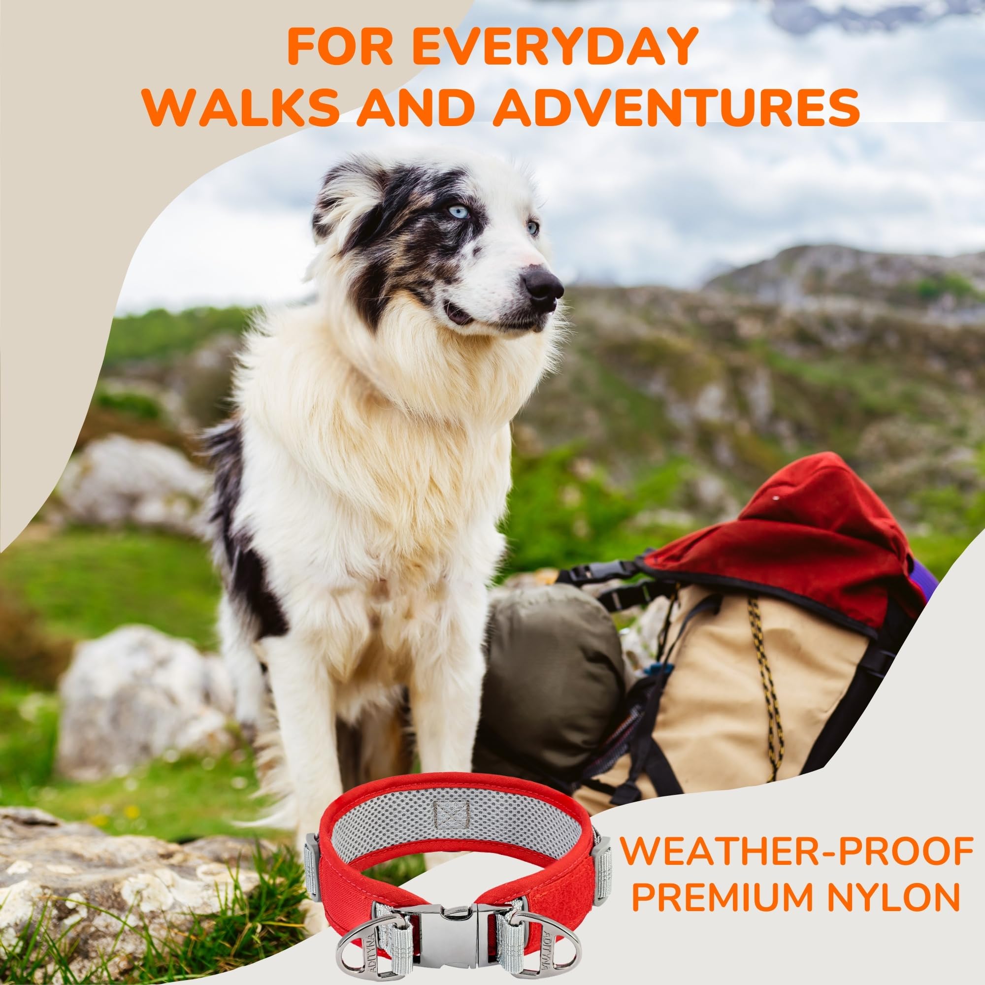 Durable 2-Inch Adjustable Dog Collar With Airtag Holder For Large Dogs - Reflective, Heavy-Duty Metal Buckle, Comfortable Mesh L