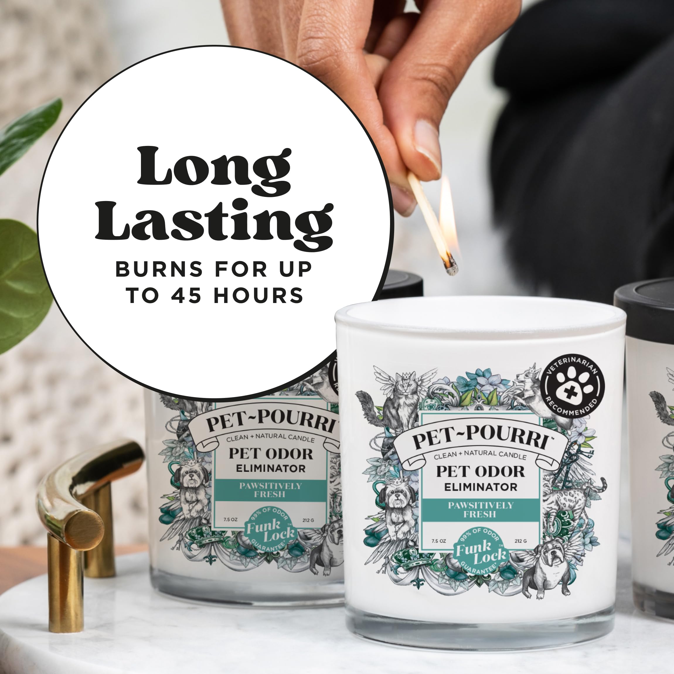 Pet-Pourri Pawsitively Fresh Pet Deodorizer Candle - Pet Safe Plant Based Ingredients & Wax - Vet Approved - Aromatherapy & Air