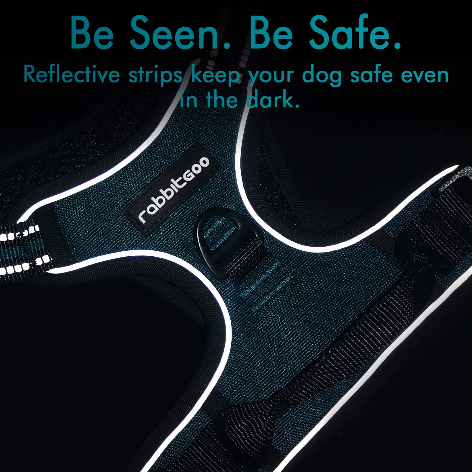 Rabbitgoo Dog Harness, No-Pull Pet Harness With 2 Leash Clips, Adjustable Soft Padded Dog Vest, Reflective No-Choke Pet Oxford Vest With Easy Control Handle For Large Dogs, Blue Coral, L