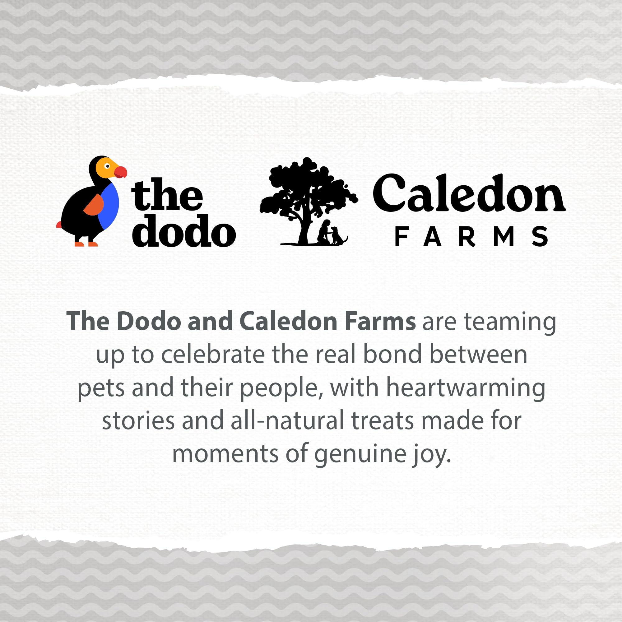 Caledon Farms The Dodo Crunchy Biscuits - Sweet Potato with Peanut Butter 19.5oz, Dog Treats