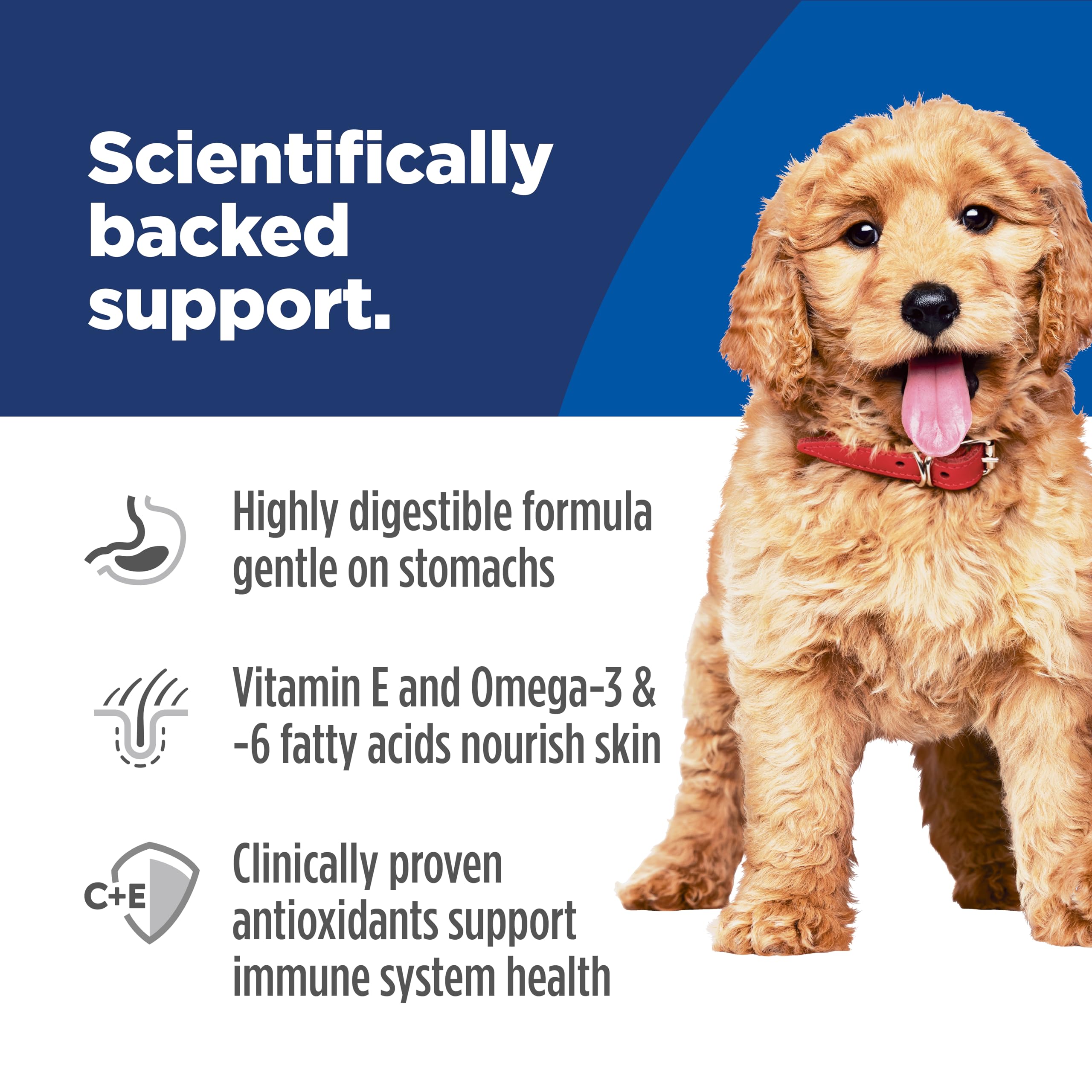 Hills Science Diet Sensitive Stomach & Skin, Puppy, Stomach & Skin Sensitivity Support, Dry Dog Food, Salmon & Brown Rice, 13 l