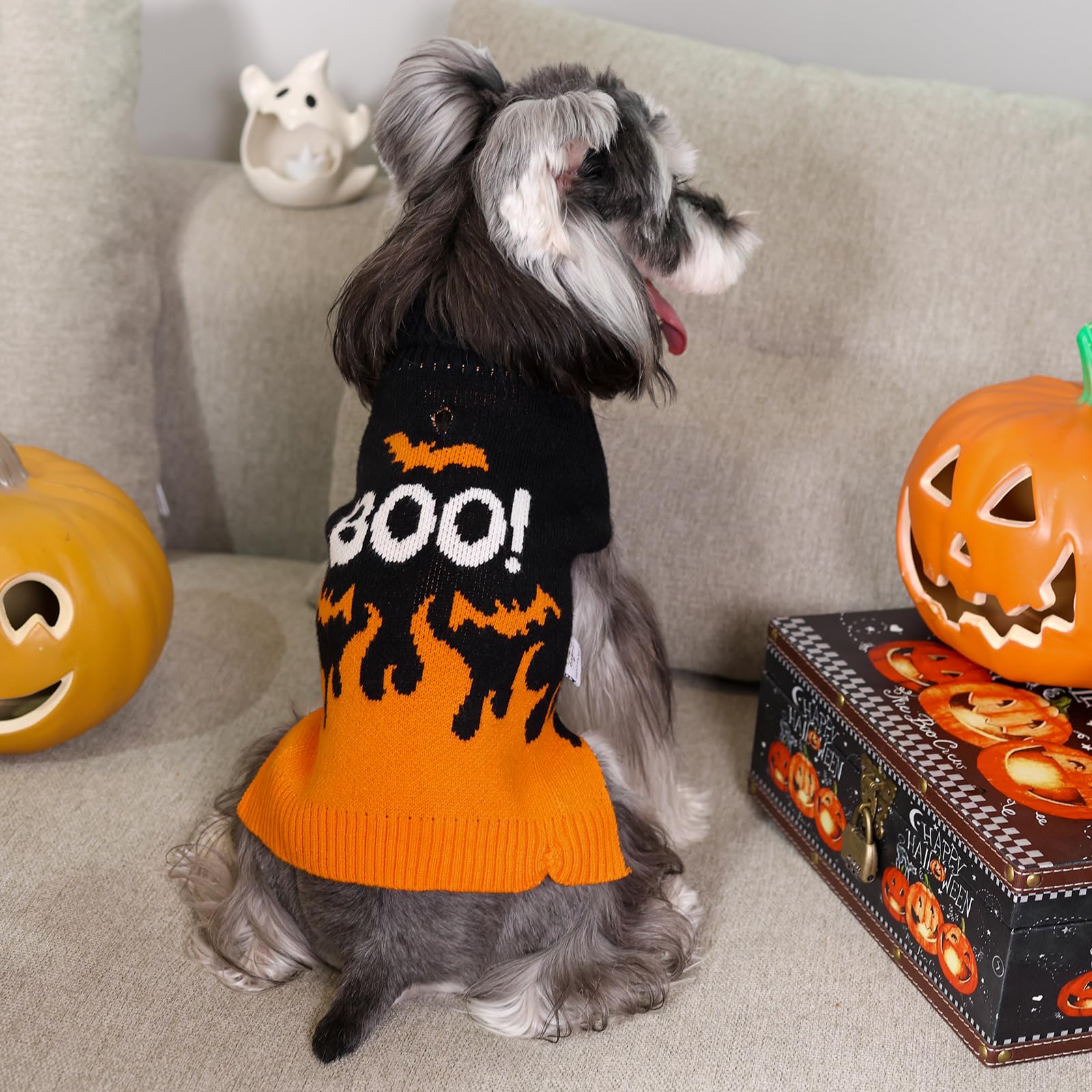 Cutebone Halloween Dog Sweater For Small Medium Dogs, Skull Pullover For Chihuahua Yorkie Teacup Ds99S