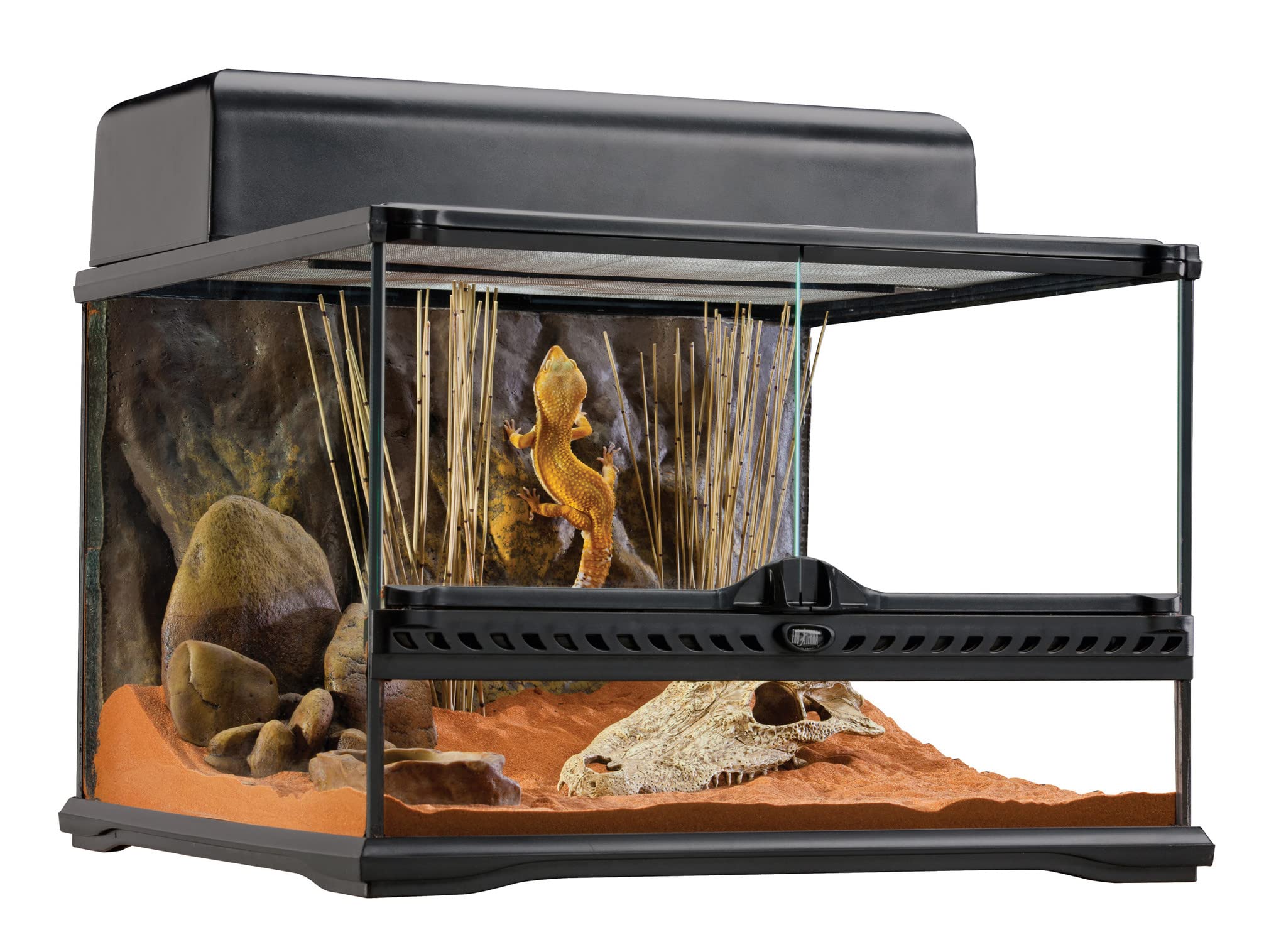 Exo Terra Short All Glass Terrarium, 18 By 18 By 12-Inch