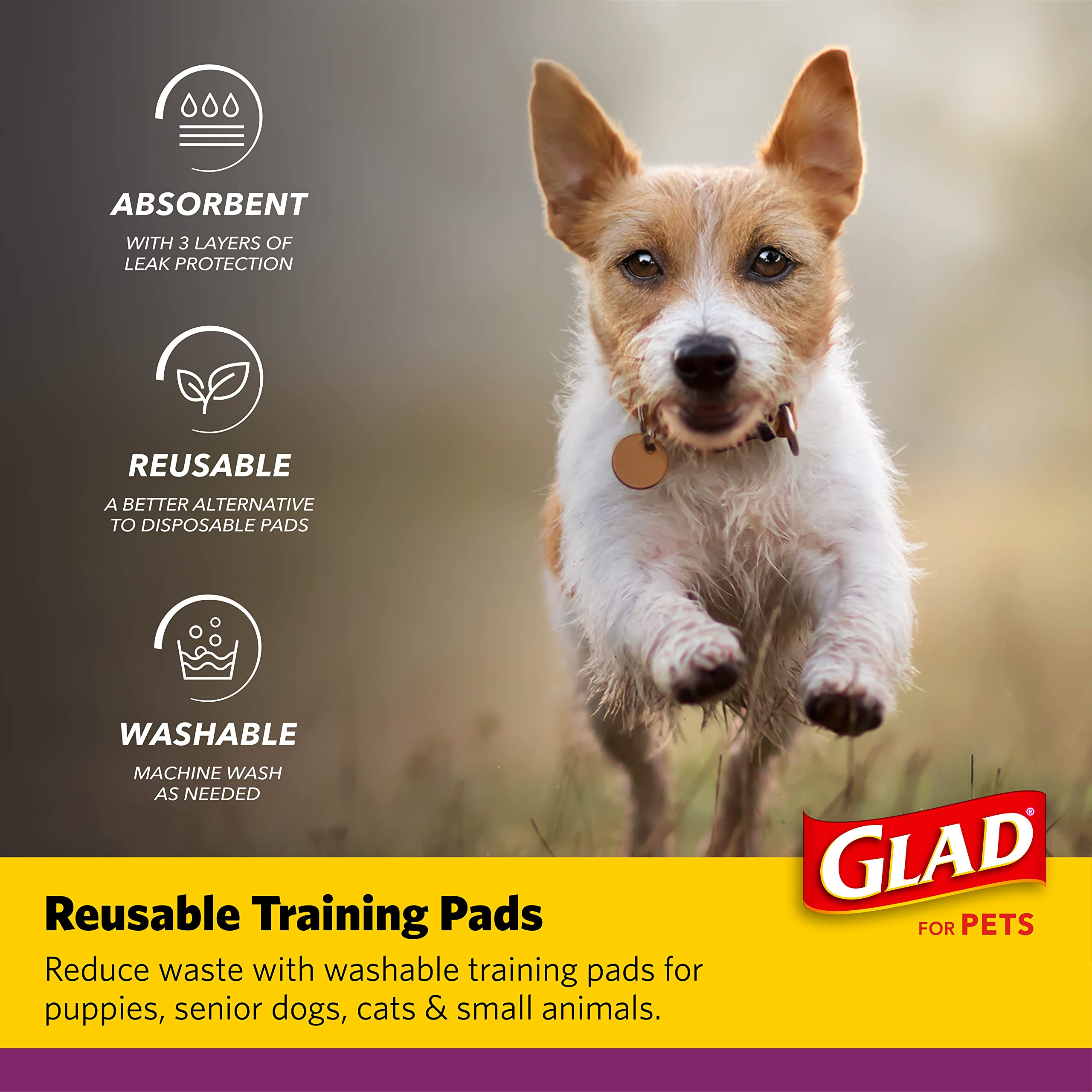 GLAD for Pets Washable Training Pads, Medium Size (24   x36   ), 2 Pack Gray with Paw Prints| Re-usable Cloth Dog Training Pads