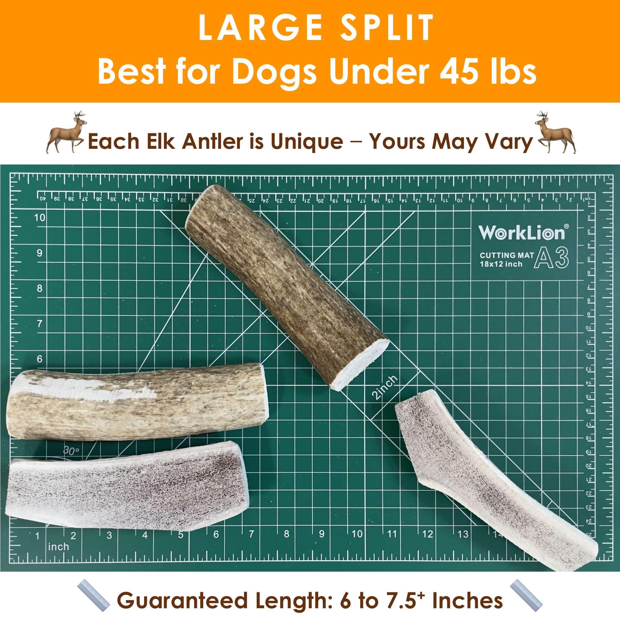 Deluxe Naturals 3-Pack Large Split Elk Antler Dog Chews (6 to 7.5+ in) - All-Natural, Long-Lasting Antlers for Small & Medium Do