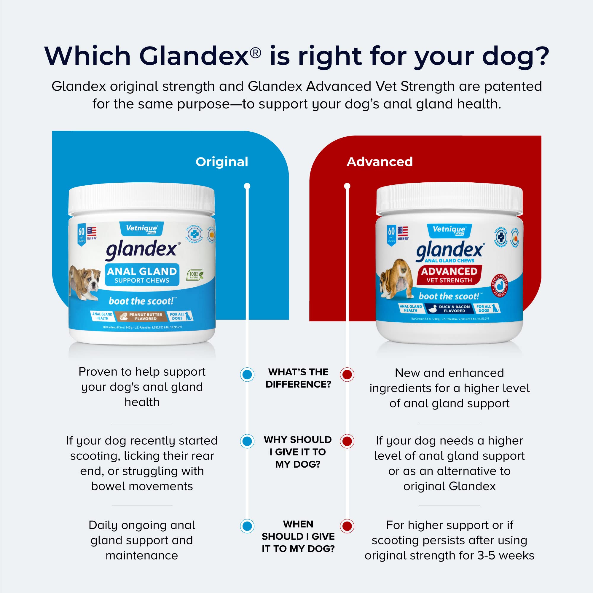 Glandex Anal Gland Soft Chew Treats with Pumpkin for Dogs Digestive Enzymes, Probiotics Fiber Supplement for Dogs Boot The Scoot