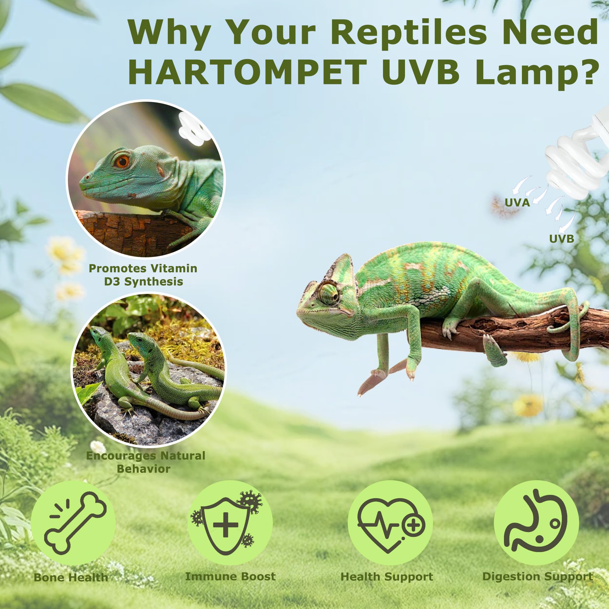 Hartompet Uvb 5.0 Reptile Light13W, Compact Fluorescent Tropical Lamp, Coil Uvb Bulb For Rainforest Reptiles - Light For Crowned