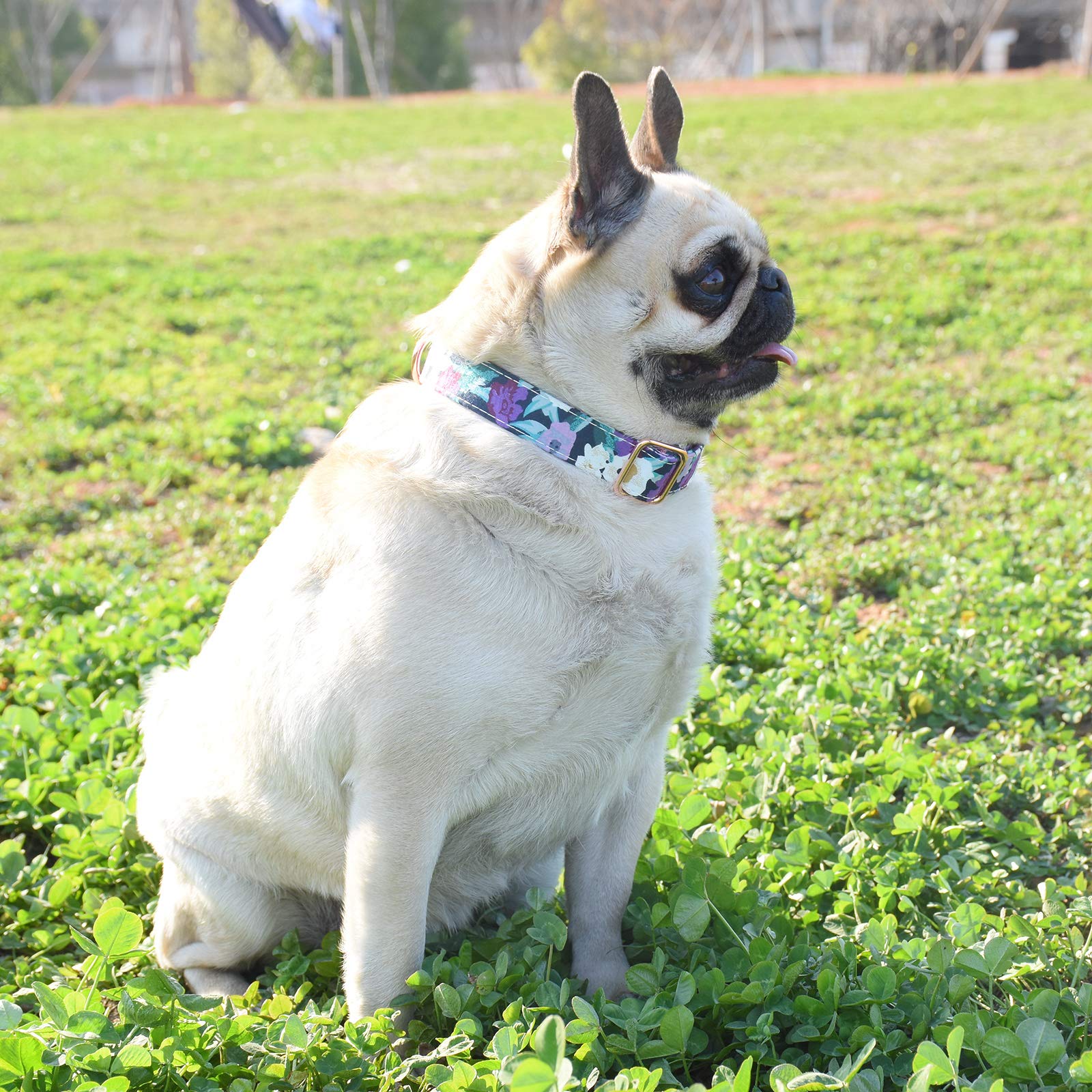 Metal Buckle Dog Collar, Durable Adjustable Dog Collar Soft For Small Medium Large Dogs (M(13-18In), Flower5)