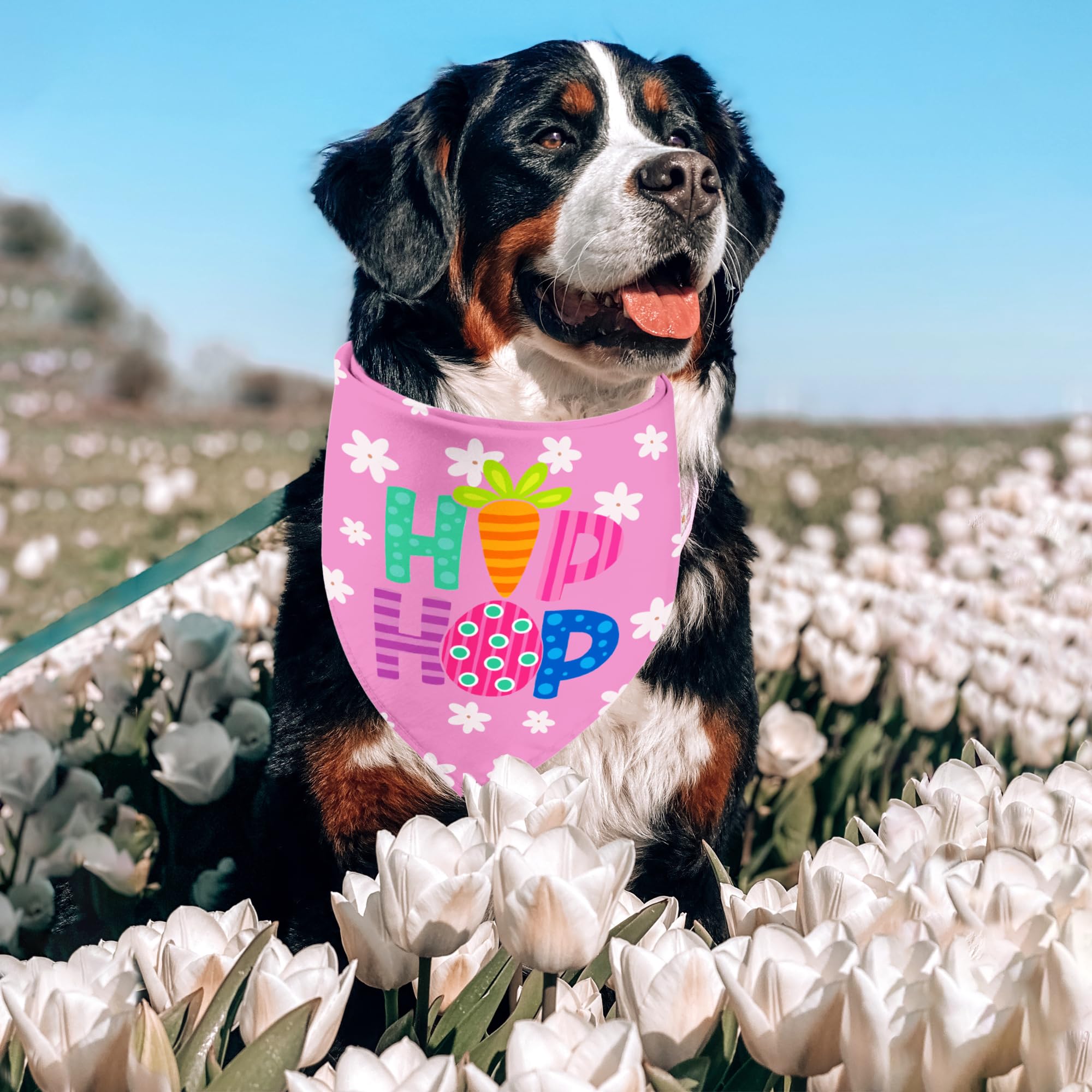 Easter Dog Bandanas 2 Pack, Hip Hop Egg Hunt Bunny Dog Scarfs For Boy And Girl, Pet Scarves For Large And Giant Dogs (Easter, X-