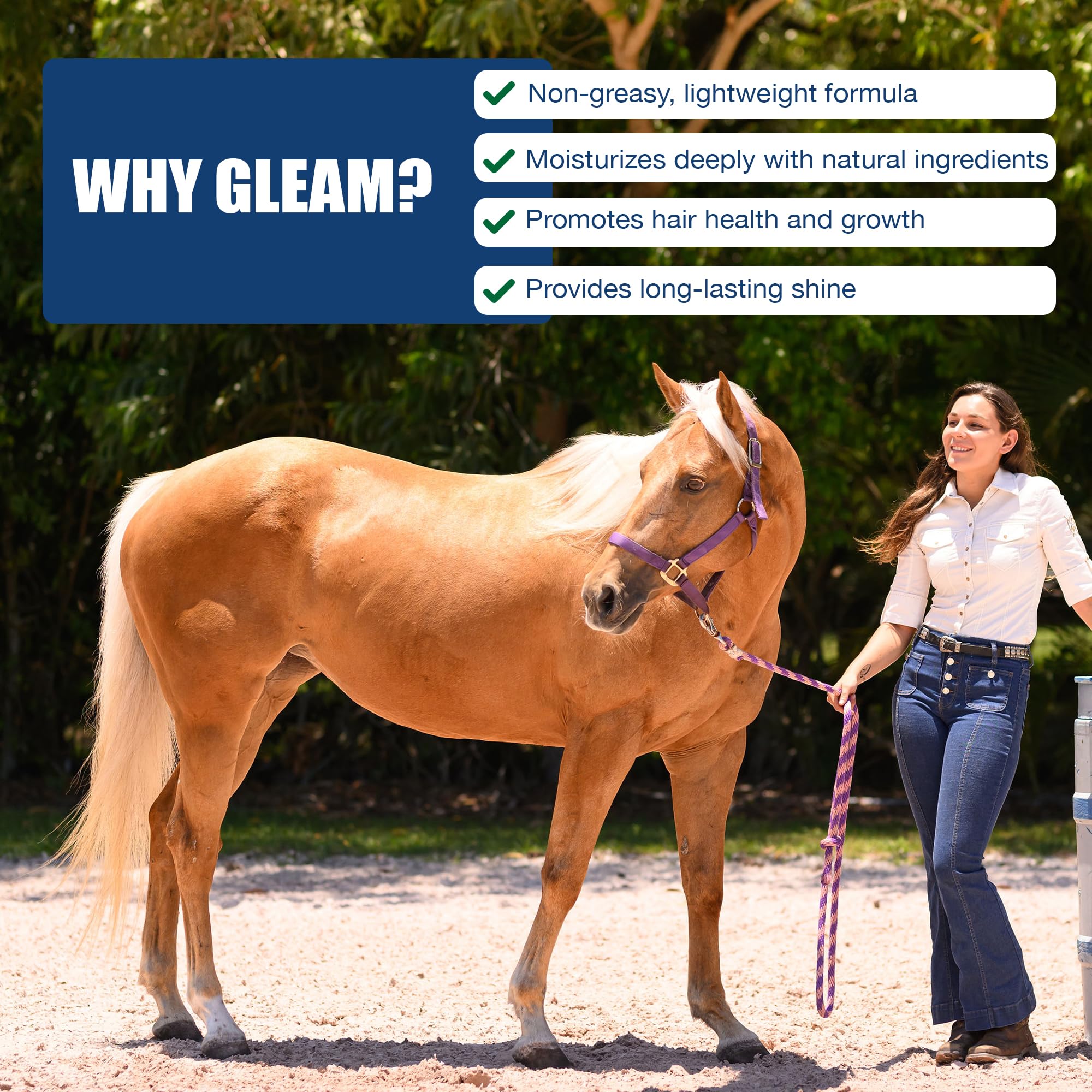 Equifuse Gleam Moisturizer + Shine Serum For Horses | Detangles Even The Unruliest Manes And Tails | Provides Long-Lasting Shine | 16Oz