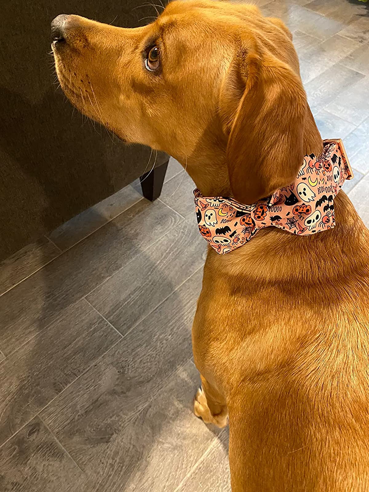Elegant Little Tail Dog Collar With Bow - Fall Dog Collar Halloween Pumpkin Bow Girl Boy Pet Collar Soft Dog Bowtie Collars For Large Dogs