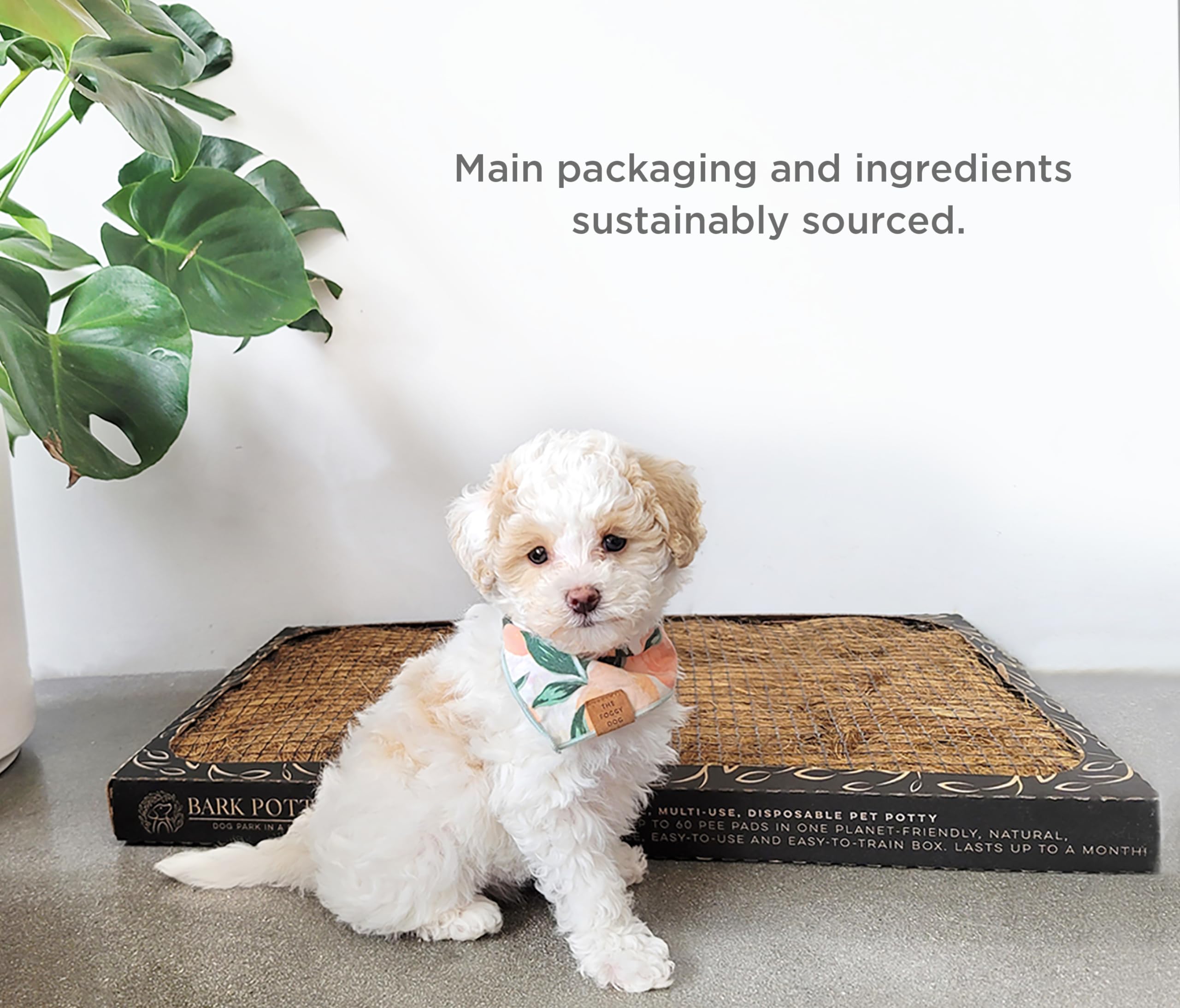 Bark Potty Disposable Training Pads, Multi Use Leak-Proof And Odor Control Puppy Pee Pads | 30 X 20 Standard Pee Pads For Dogs | Natural Bark Potty Pads For Dogs - Dog Housebreaking & Puppy Supplies