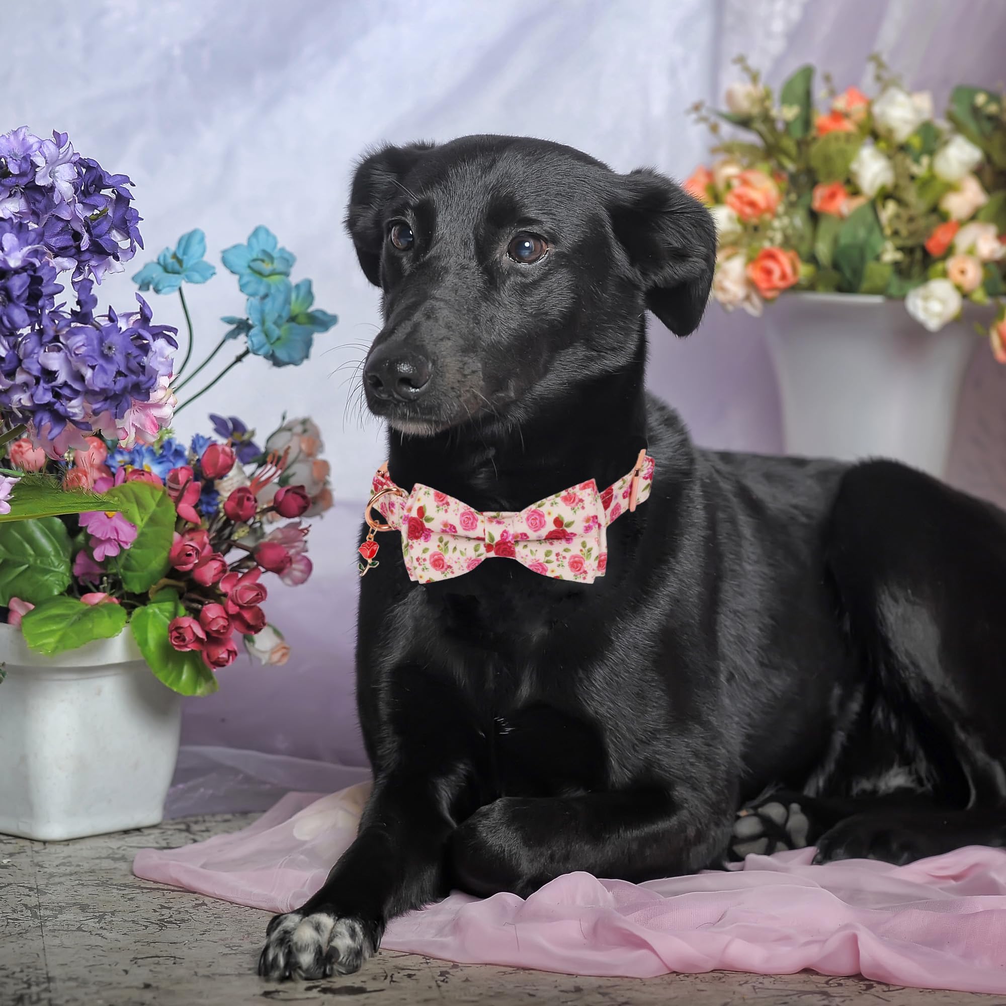 Adoggygo Floral Dog Collar With Bow, Red Pink Rose Flower Dog Bow Collar With Metal Buckle, Adjustable Pet Floral Collars For La