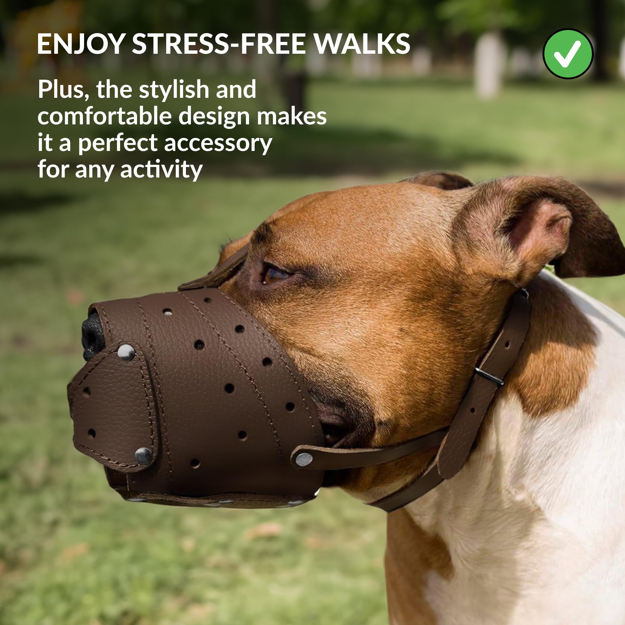 Collardirect Leather Basket Dog Muzzle For German Shepherd Staffordshire Terrier Pitbull Medium Large Breeds Training, Anti-Bark