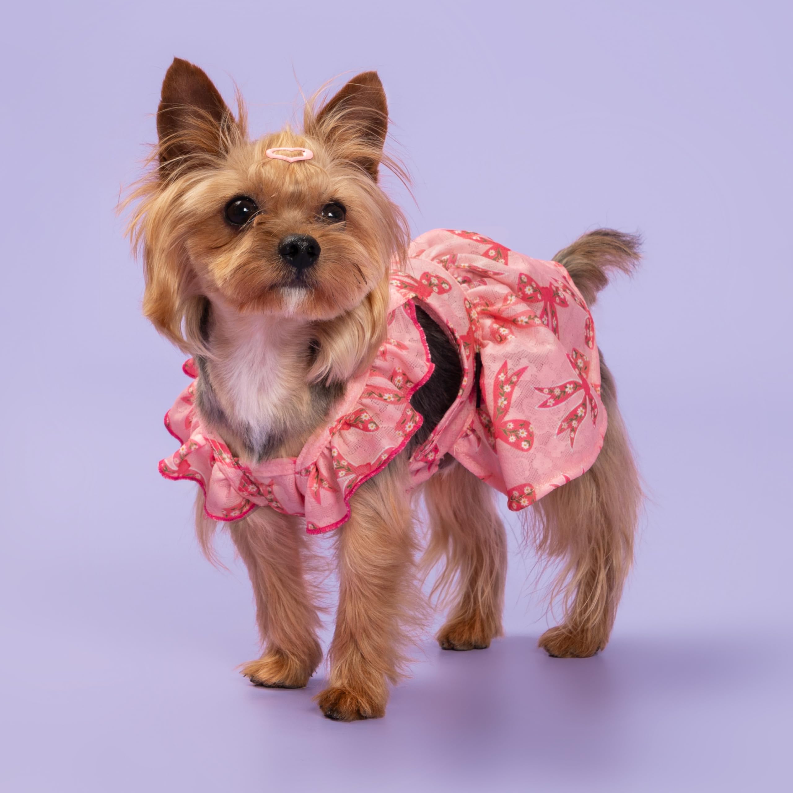 Fitwarm Ruffle Sleeves Bowknot Dog Dress, Birthday Clothes For Small Dogs Girl, Pet Outfit, Pink, Small