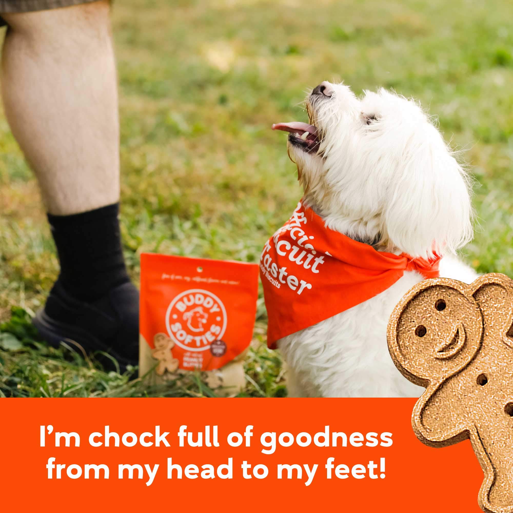 Cloud Star Soft & Chewy Buddy Biscuits - Peanut Butter Flavor - 6Oz.