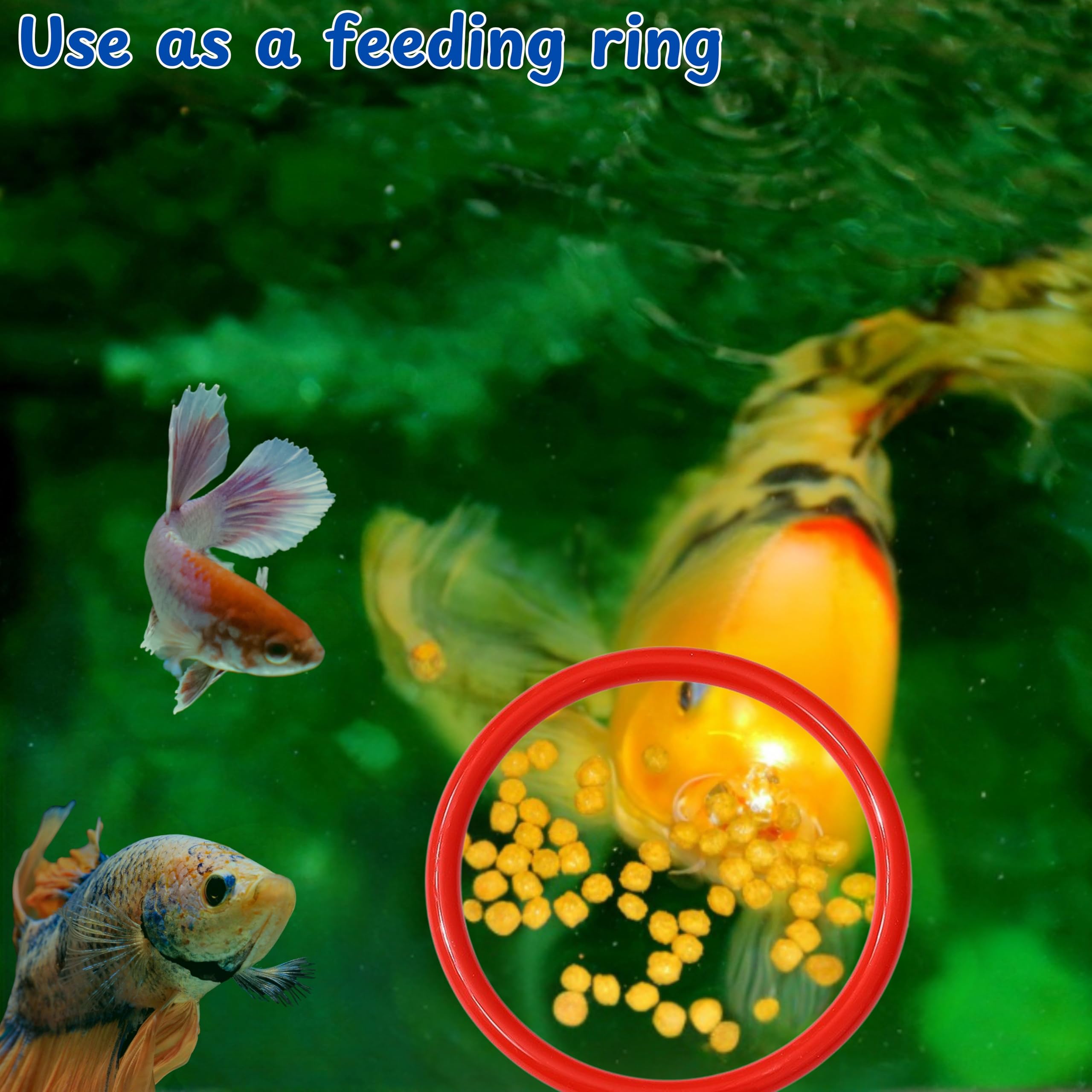 Betta Fish Exercise Ring And Filter Balls Set, Betta Ring And Turtle Water Cleaner Ball, Fish Feeder Rings With Nitrifying Balls