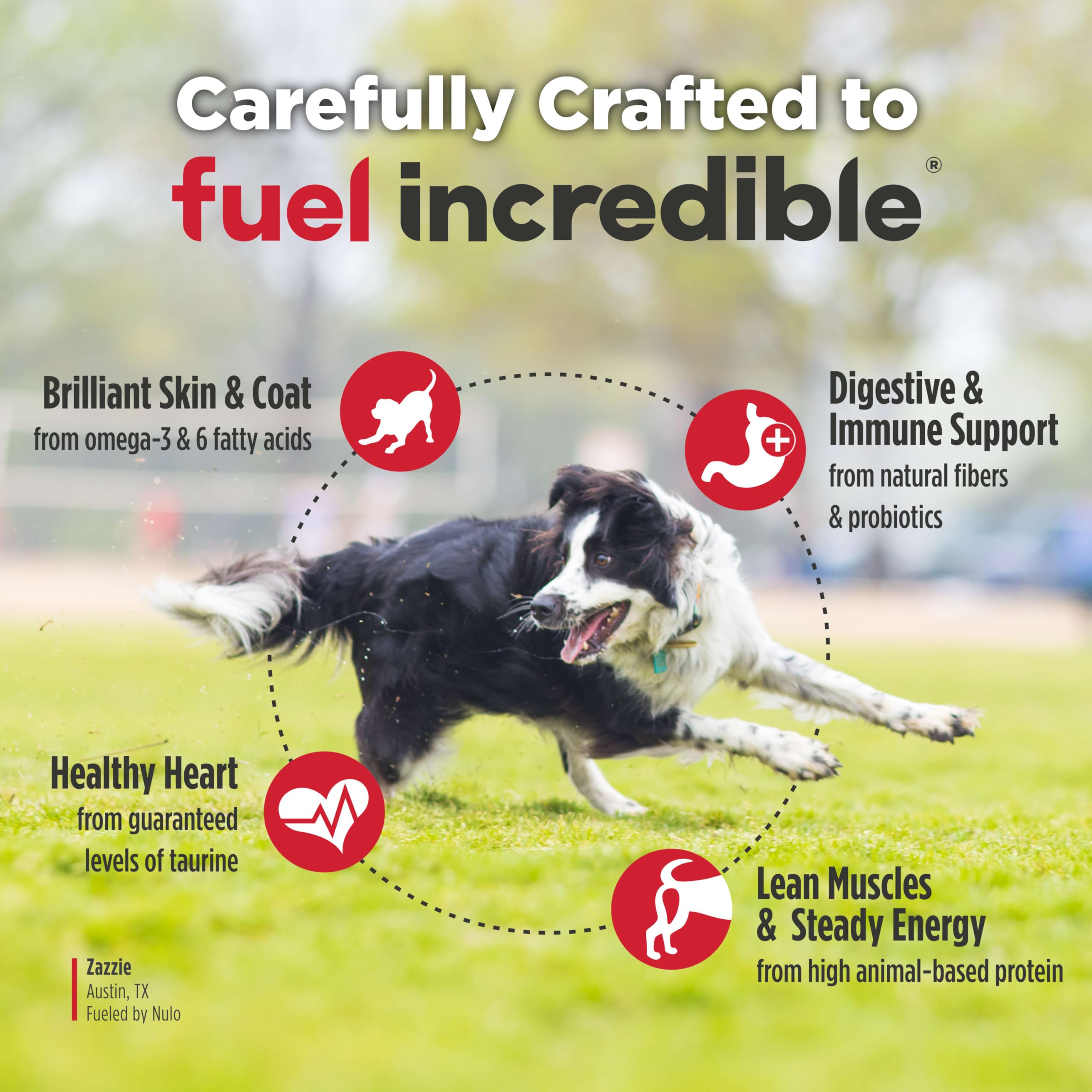 Nulo Freestyle Adult Dog Food, Premium All Natural Grain-Free Dry Small Kibble Dog Food, with BC30 Probiotic for Healthy Digesti