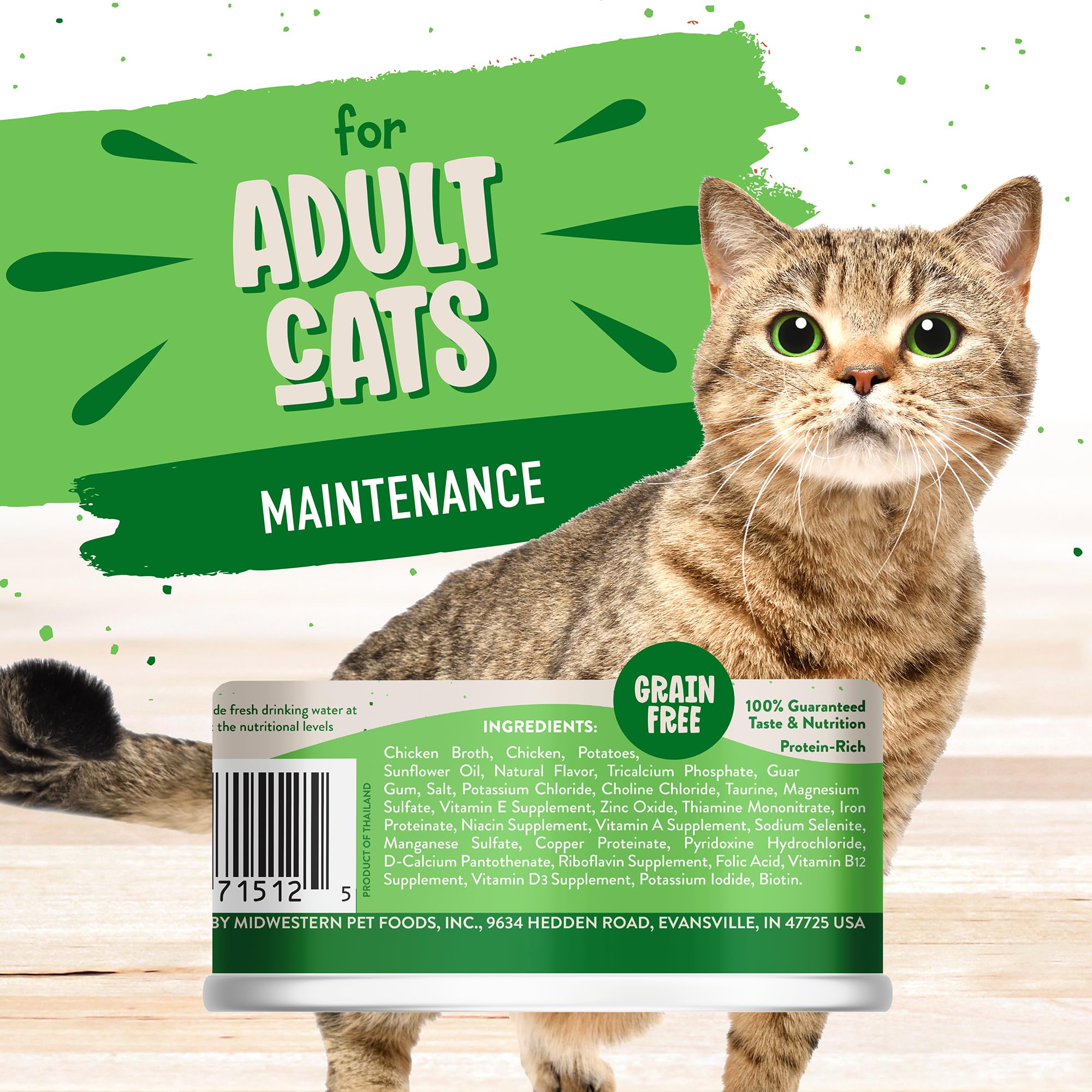 Earthborn Holistic Chicken Catcciatori Grain-Free Moist Cat Food 3 Ounce (Pack of 24)