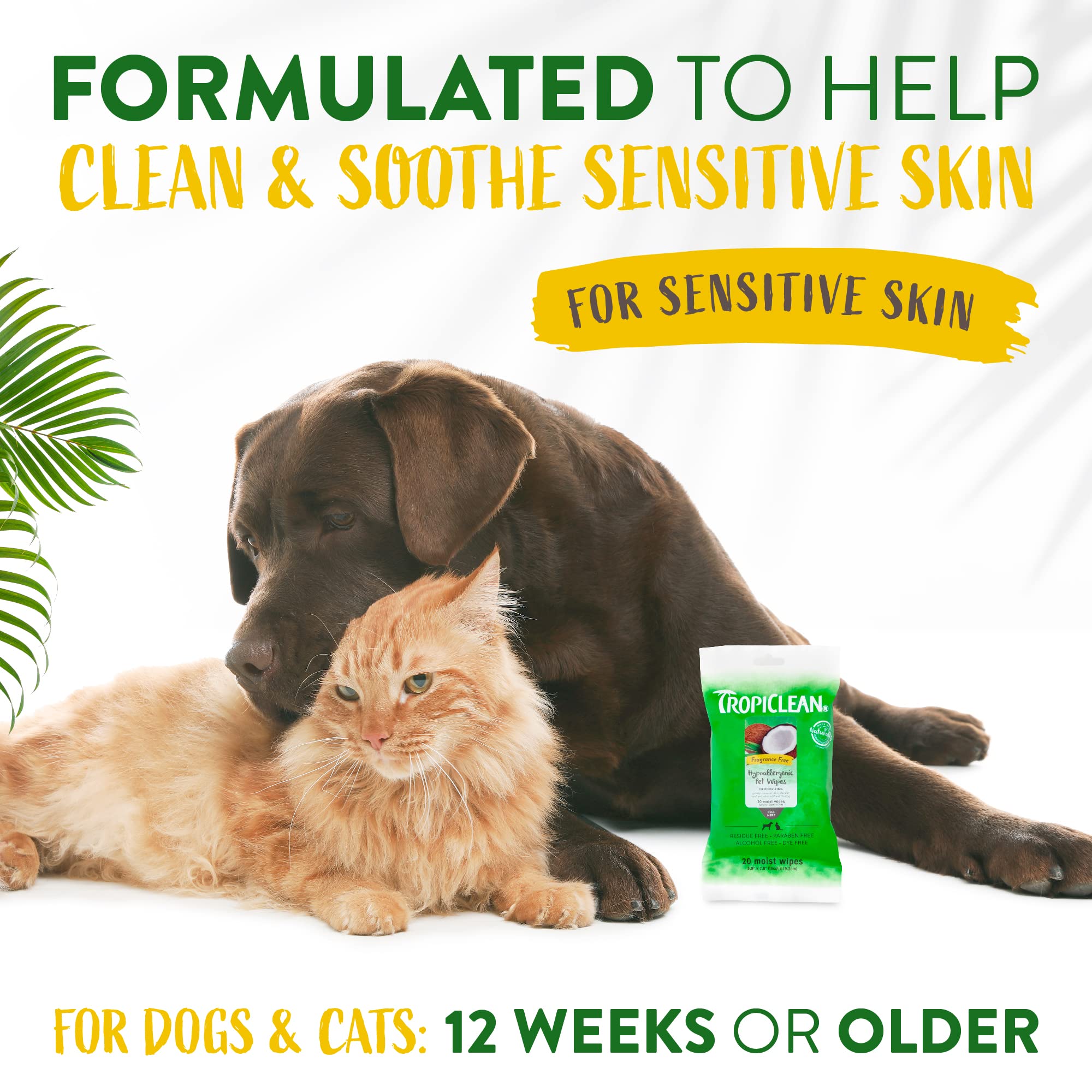 Tropiclean Hypoallergenic Dog Wipes For Paws And Butt | Fragrance Free Dog Grooming Wipes | Safe For The Face | Puppy & Cat Frie