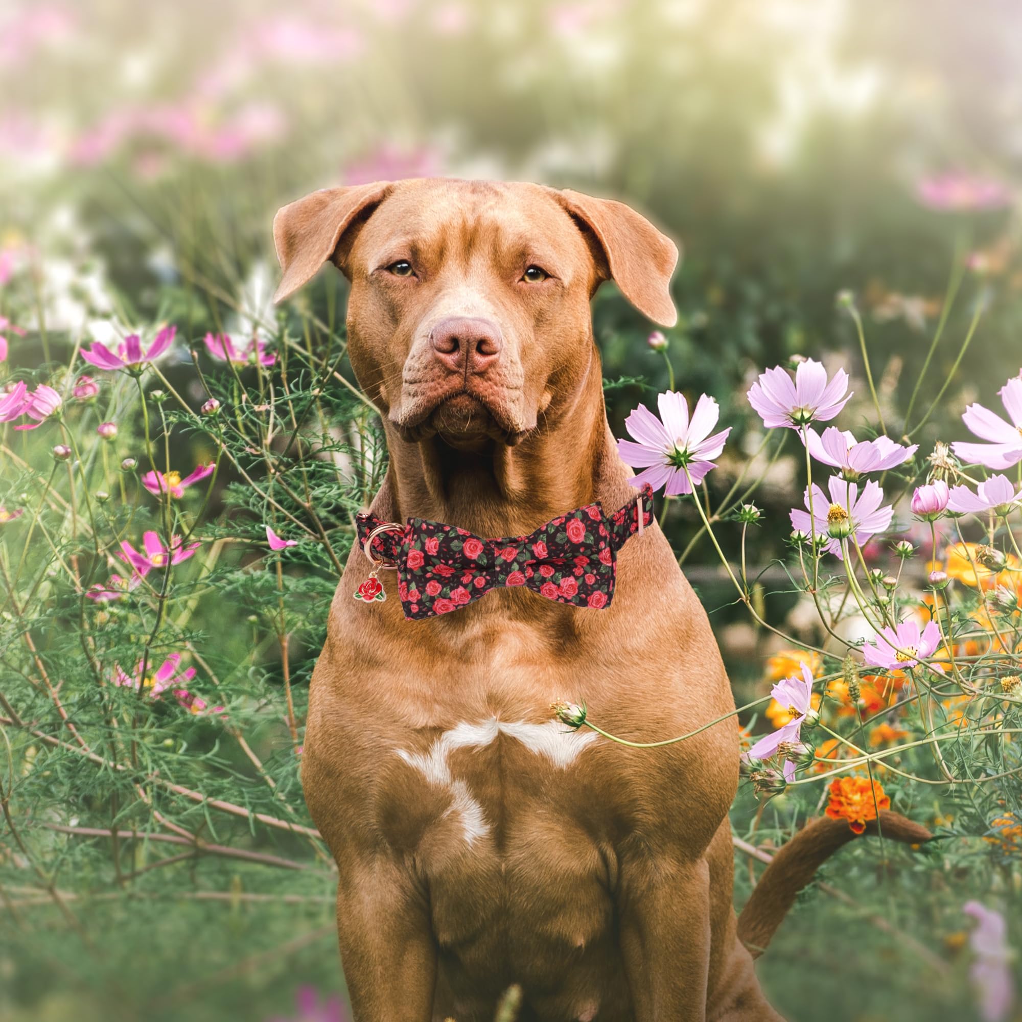 Adoggygo Floral Dog Collar With Bow, Red Rose Flower Dog Bowtie Collar With Metal Buckle, Adjustable Pet Floral Collars For Medi