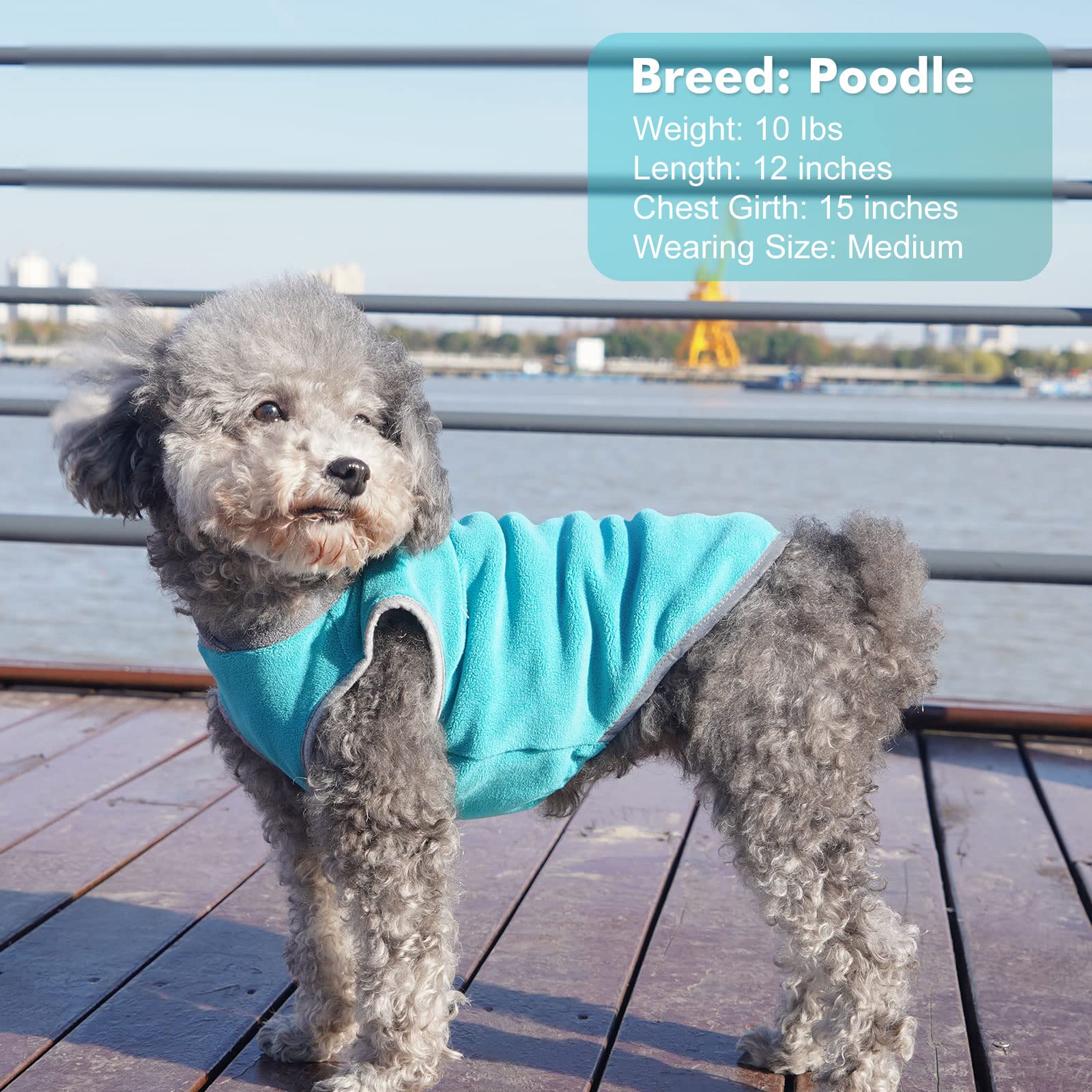 Cyeollo 2 Pack Dog Fleece Sweater With Reflective Stripe Pullover Stretchy Stretchable Dog Jacket Pet Sweatshirt Boy Dog Clothes For Small Dogs Puppy Size S Turquoise & Grey