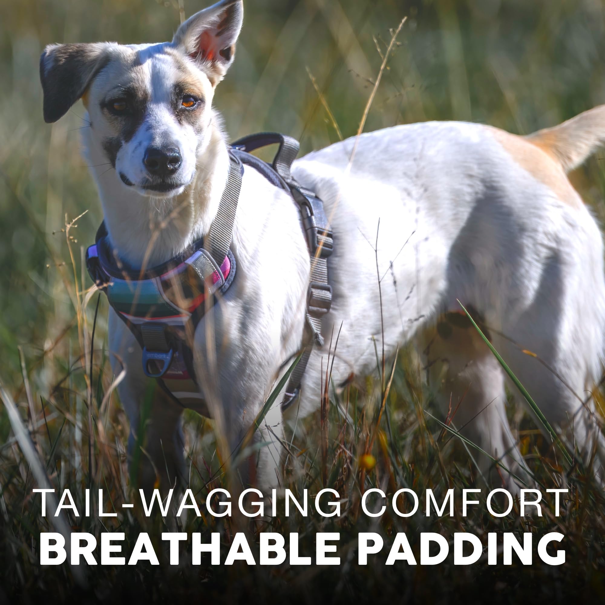 Embark Adventure Dog Harness, Reflective Trim No Pull Harness For Large Dogs - Military Grade Nylon, Front Clip With Gel Lined H