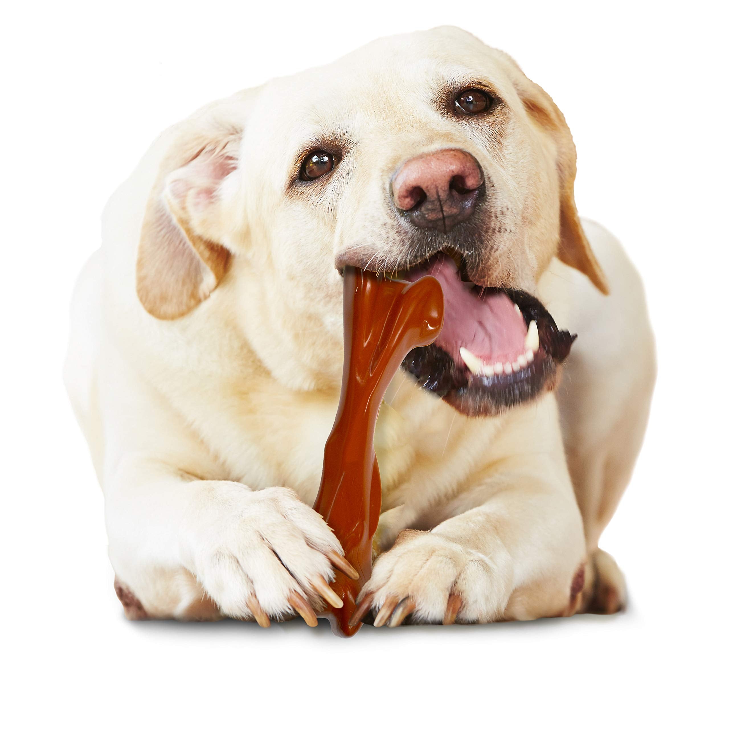 Nylabone Power Chew Bison Bone Alternative Nylon Chew Toy Bison Bison Large/Giant (1 Count)