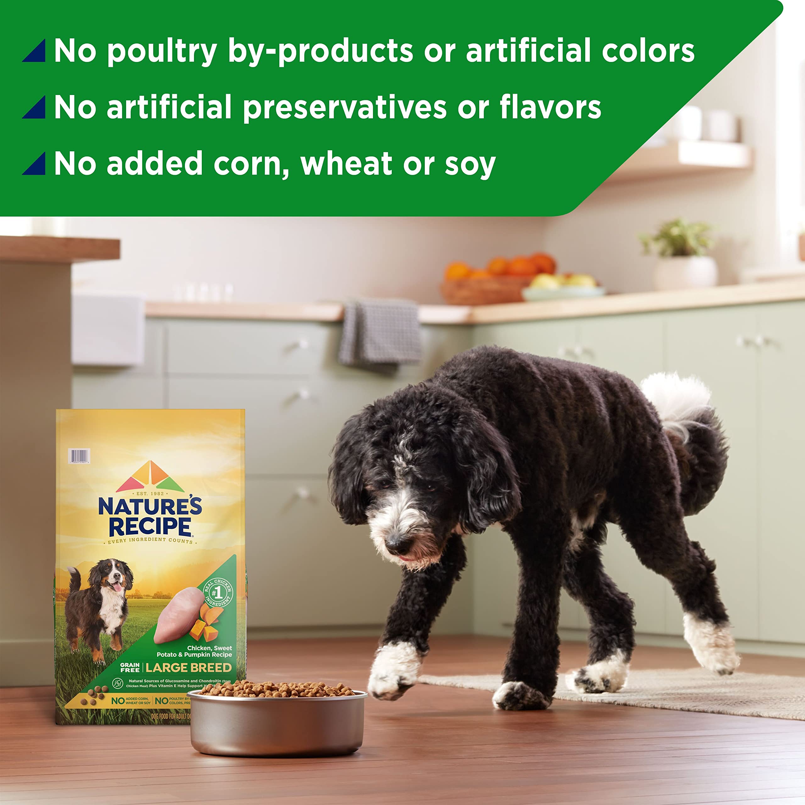 Nature's Recipe Grain Free Dry Dog Food, Chicken & Sweet Potato, 24 lb Bag