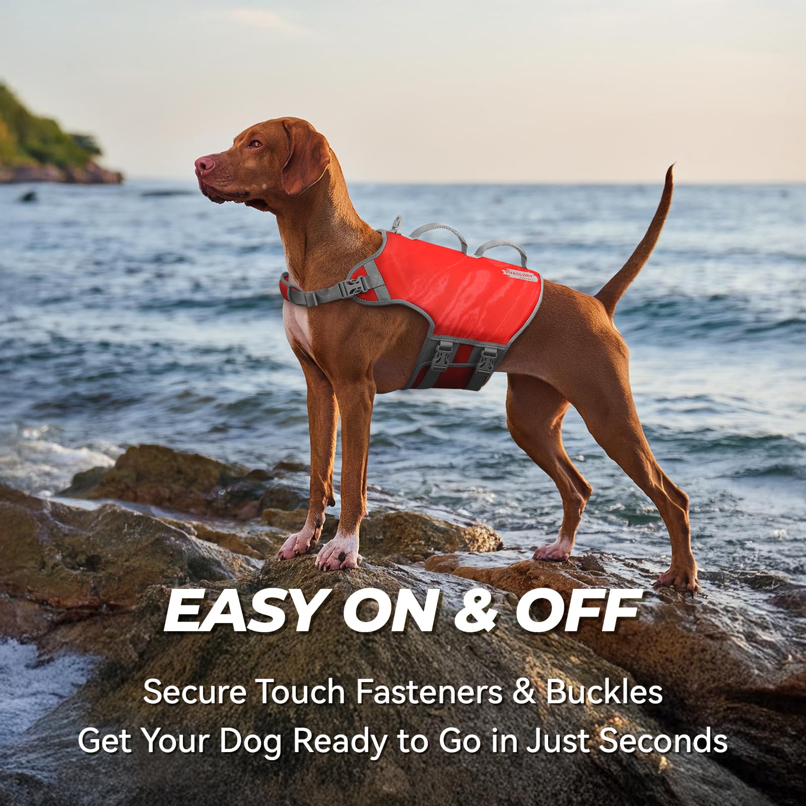 Vivaglory Neoprene Dog Life Jacket Dog Flotation Vest For Boating Hunting & Swimming, Lightweight With Leash Ring, Xl, Red Pomeg