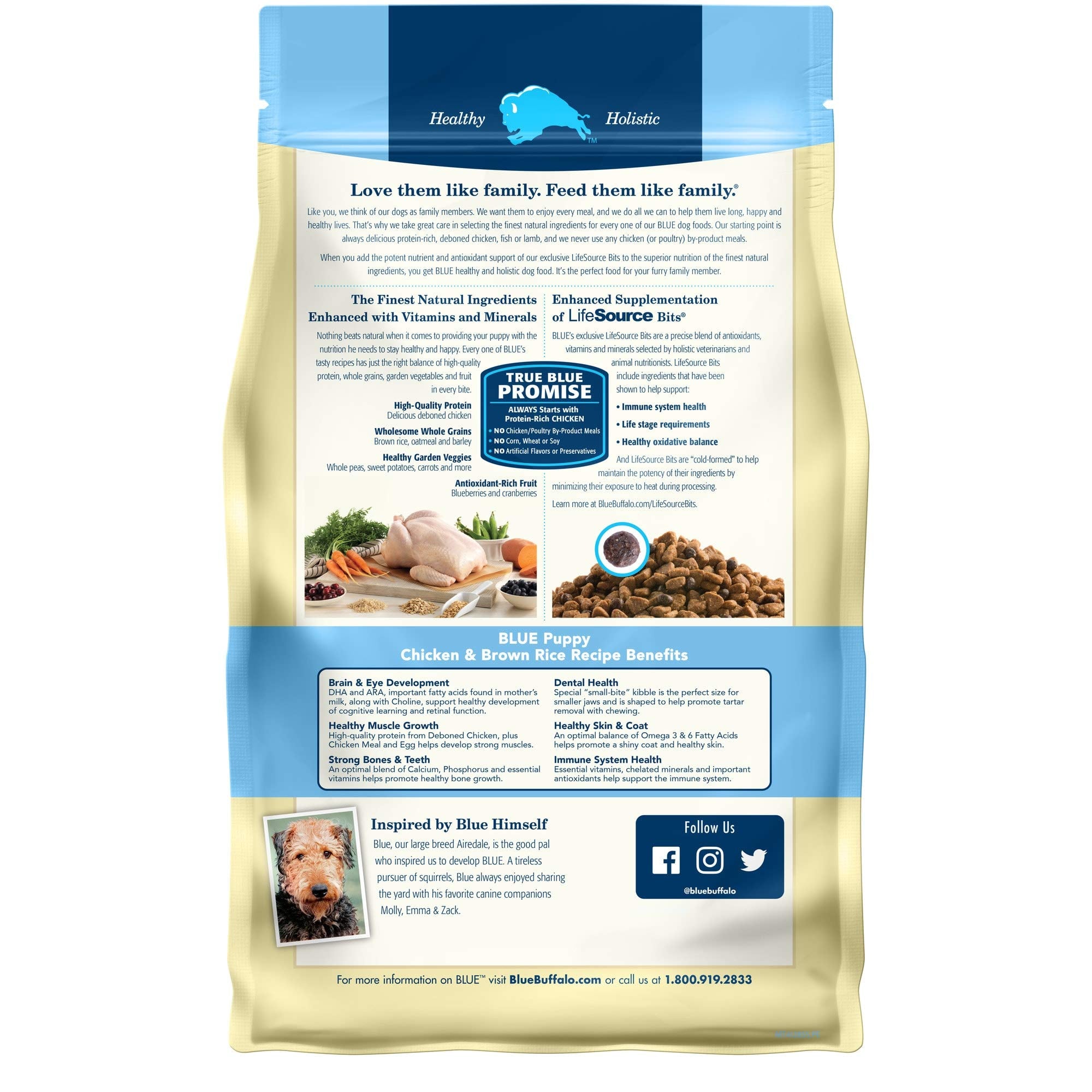 Blue Buffalo Life Protection Formula Natural Puppy Dry Dog Food, Chicken and Brown Rice 6-lb