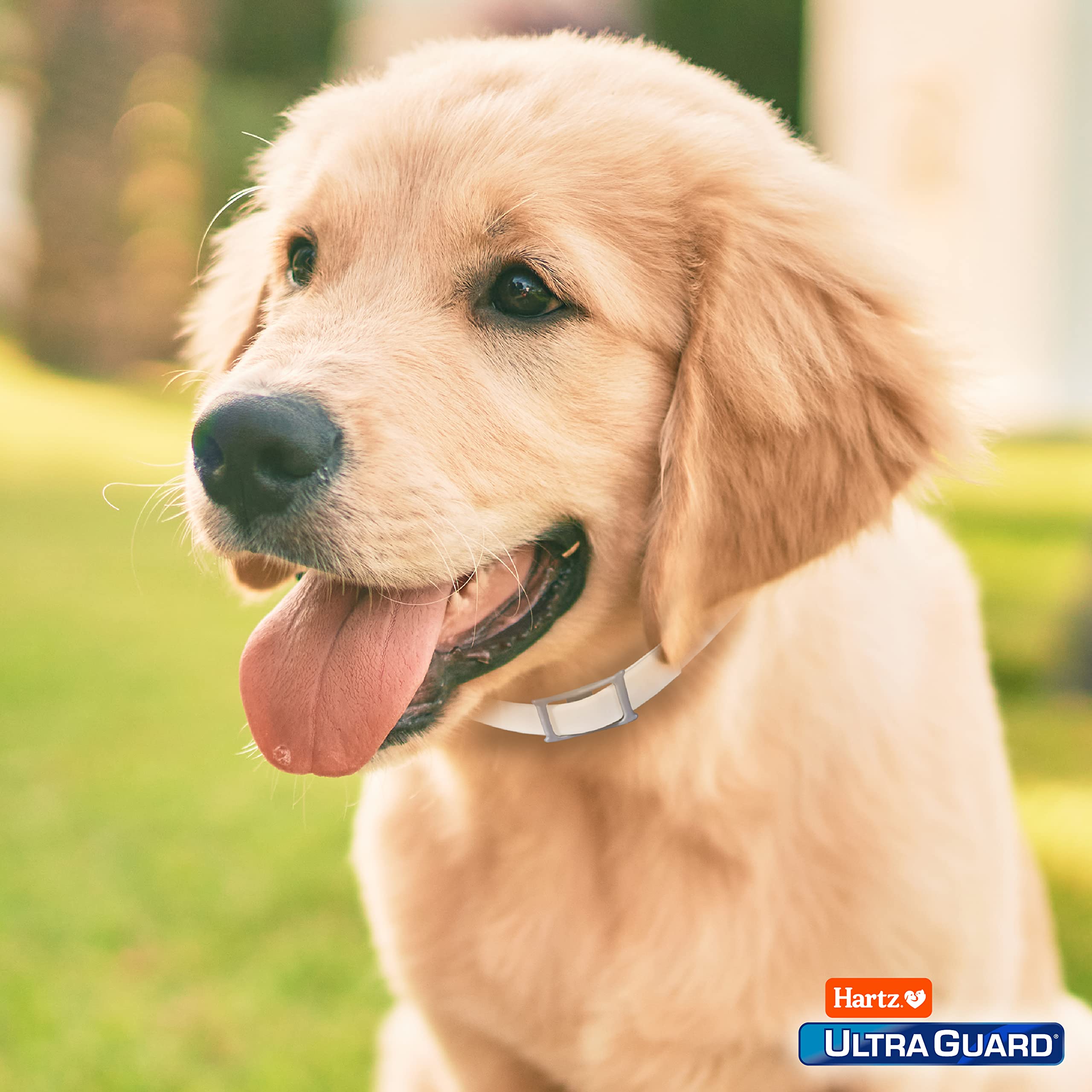 Hartz Ultraguard Flea & Tick Collar For Dogs And Puppies - 26' Neck, 7 Month Protection