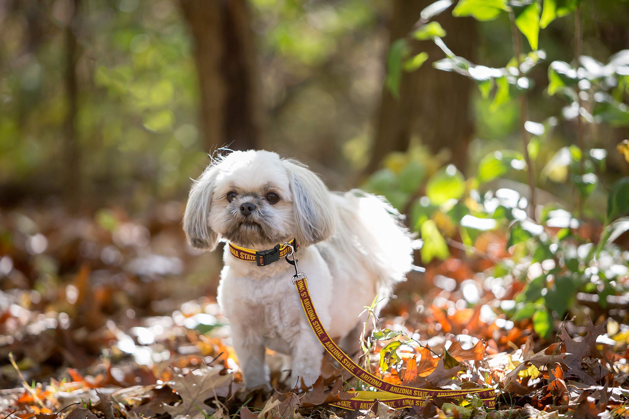 Ncaa Pet Leash, Medium, Arizona State Sun Devils, Dog Leash, Shiny & Colorful Leash For Dogs & Cats Licensed By The Ncaa