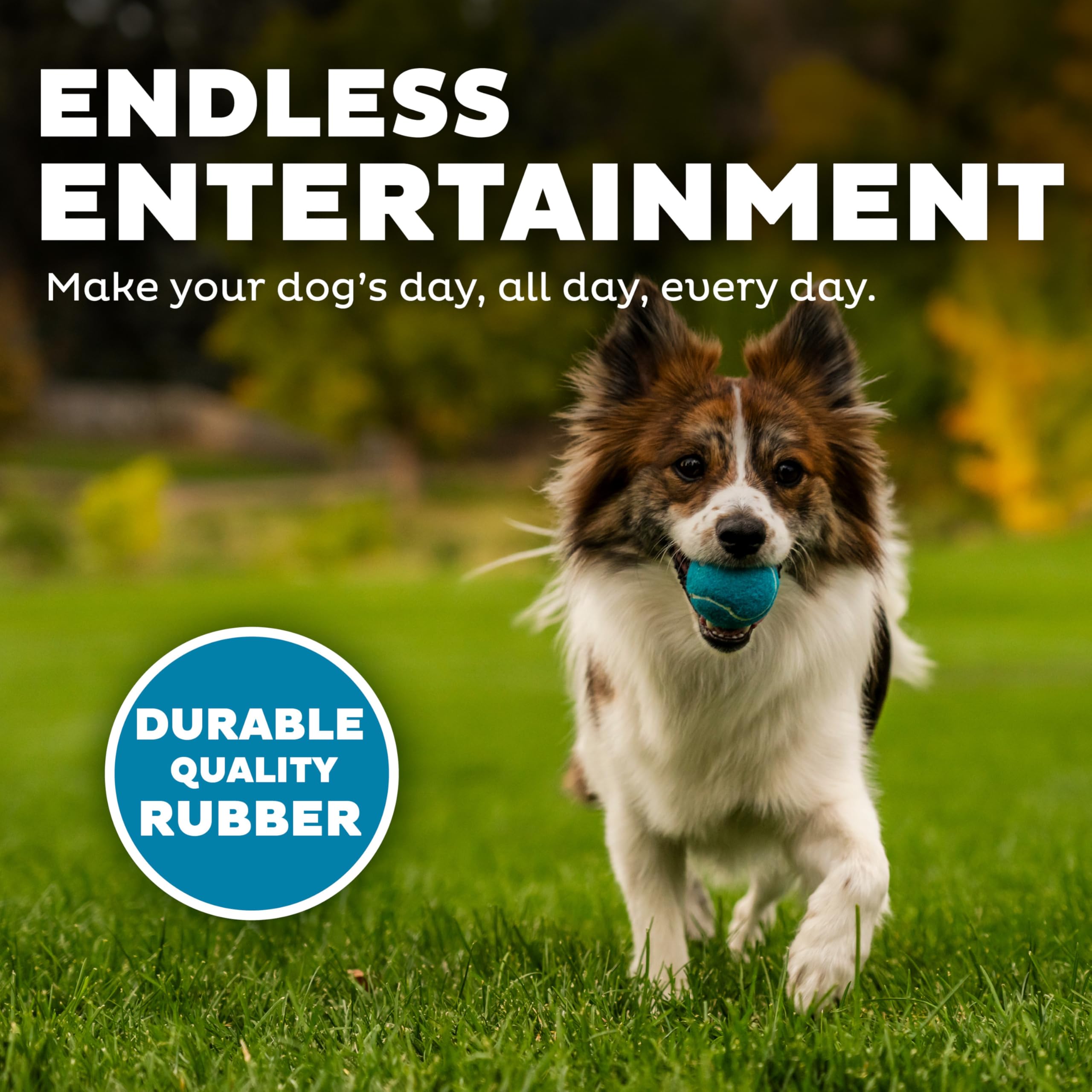 Outward Hound Squeaker Ballz Fetch Dog Toy, Small, 8- Pack