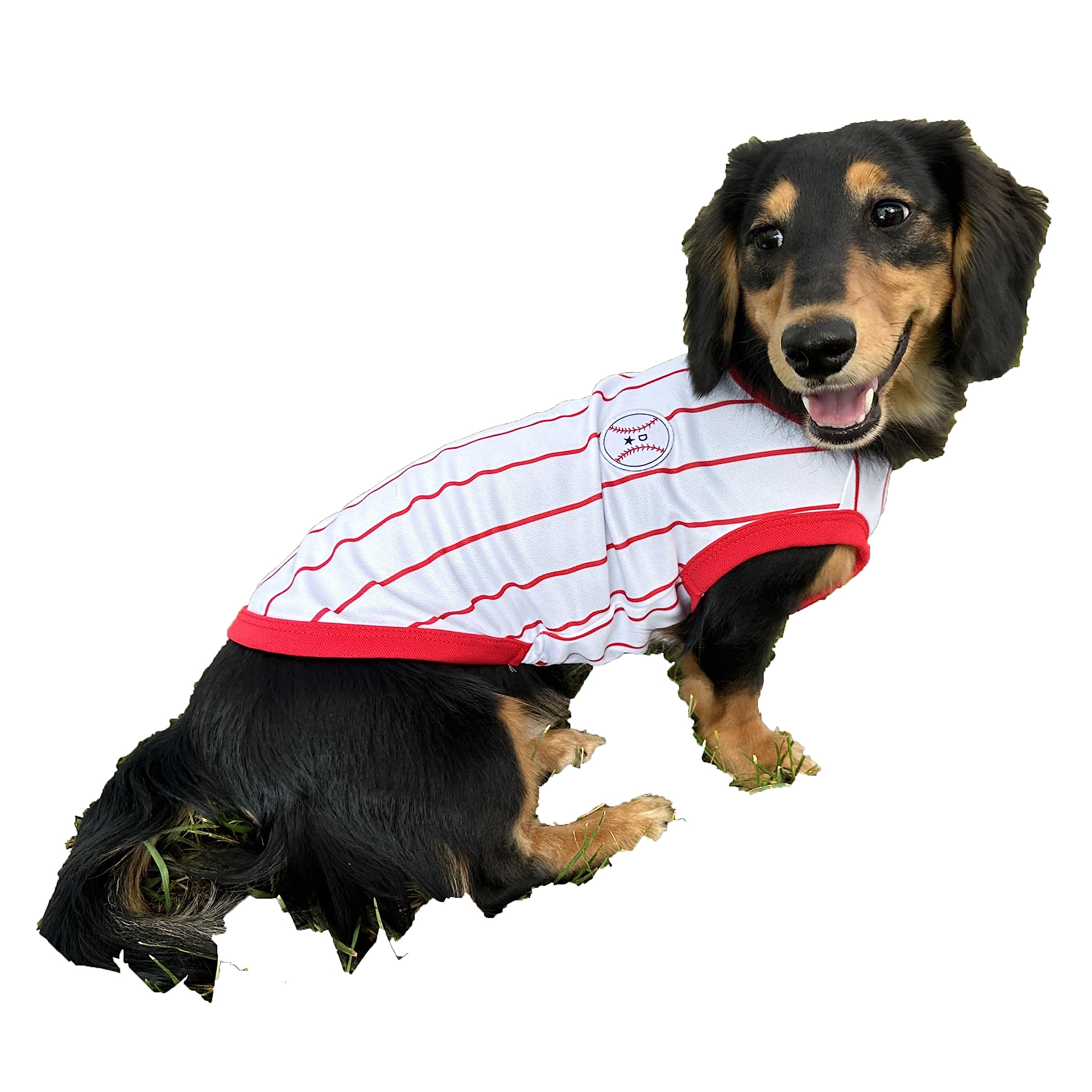 D Doggy Star Dachshund Clothes For Dogs Baseball Mini And Adults T Shirts (L,Baseball Red)
