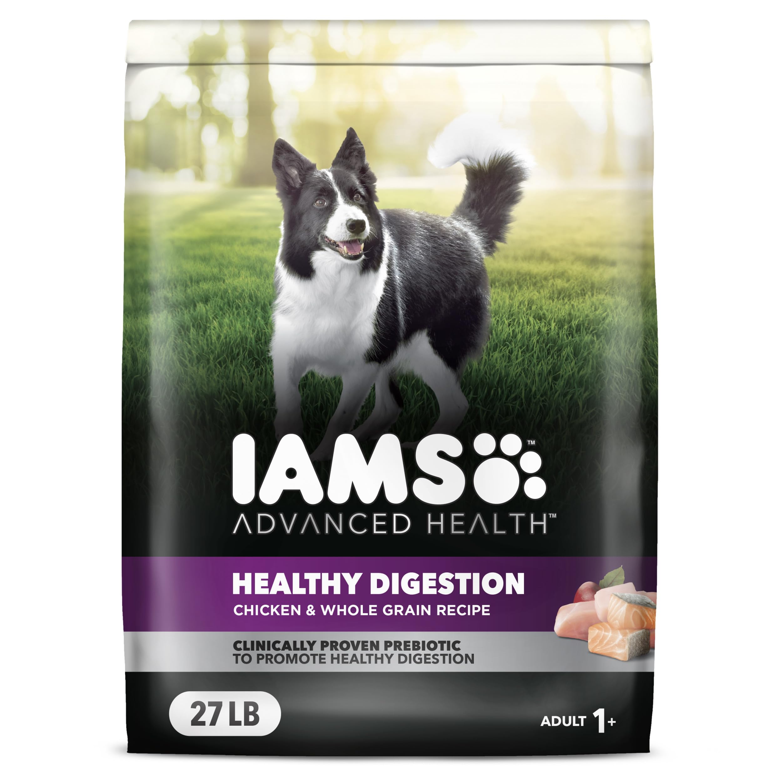 IAMS Advanced Health Adult Healthy Digestion Dry Dog Food with Real Chicken, 27 lb. Bag