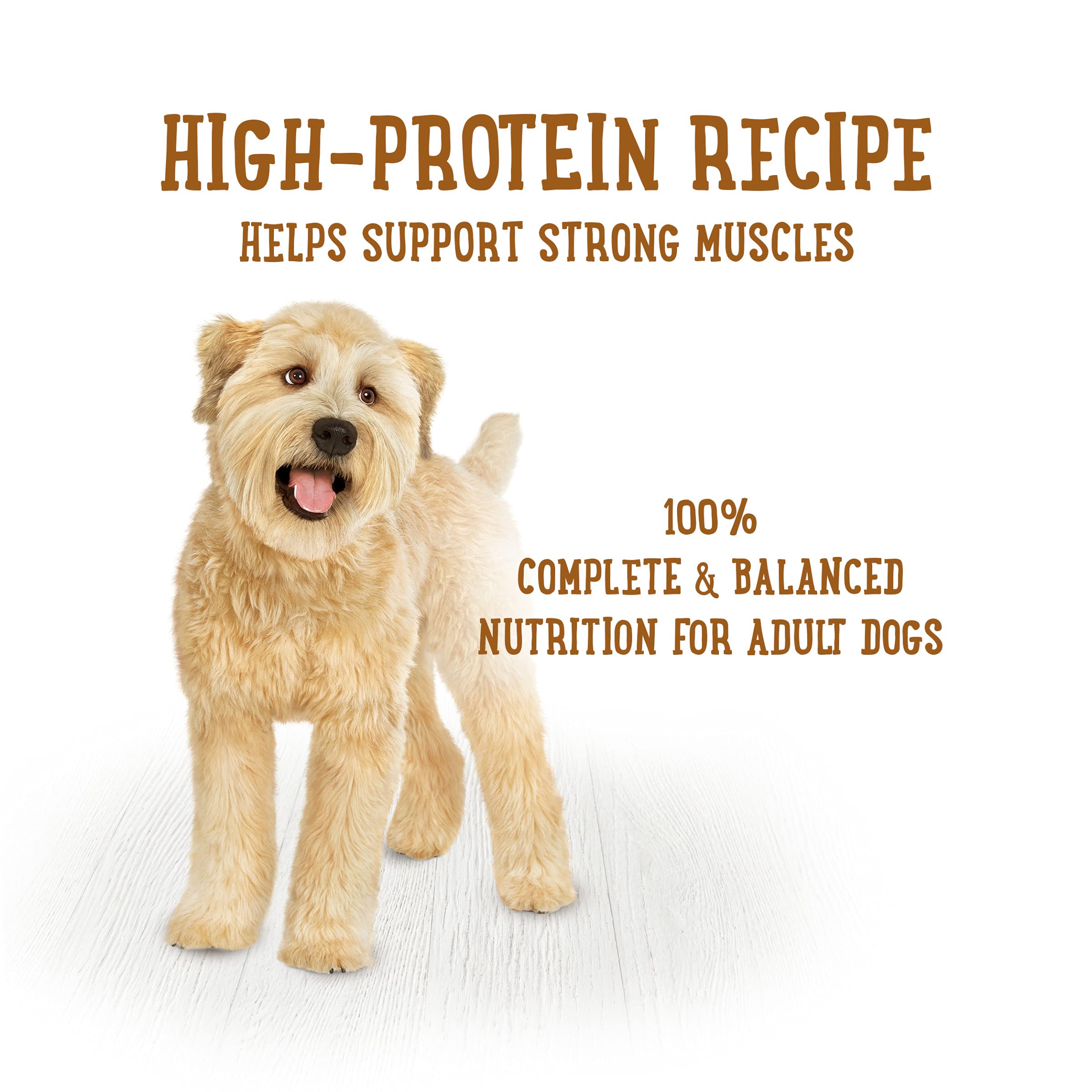 Purina Beneful High Protein, Gravy Wet Dog Food Variety Pack, Prepared Meals Stew - (6) 10 oz. Tubs