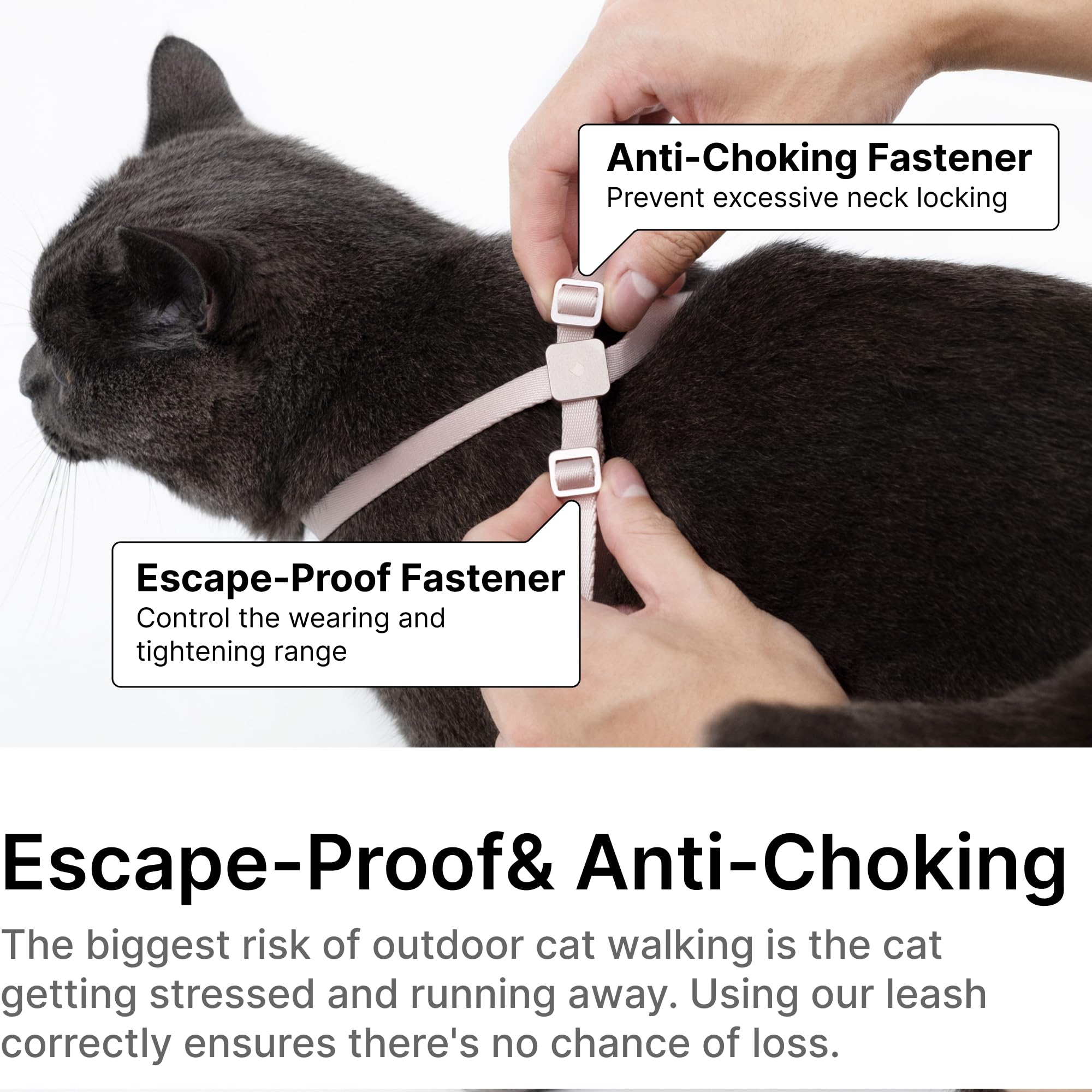 Buddyarmor Cat Harness And Leash 2-In-1, Escape Proof Anti-Chocking Harness Adjustable Lighweight Leash Walking Outoor Training