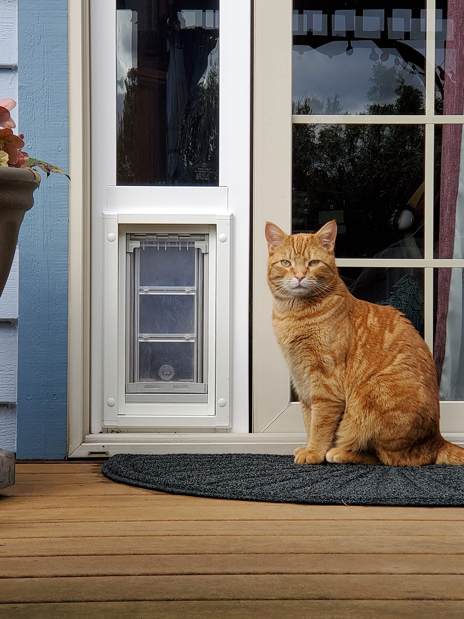 Endura Flap Cat Door for Vinyl Sliding Glass Doors | Weatherproof & Insulated for Cats and Small Dogs | Durable with Secure Lock