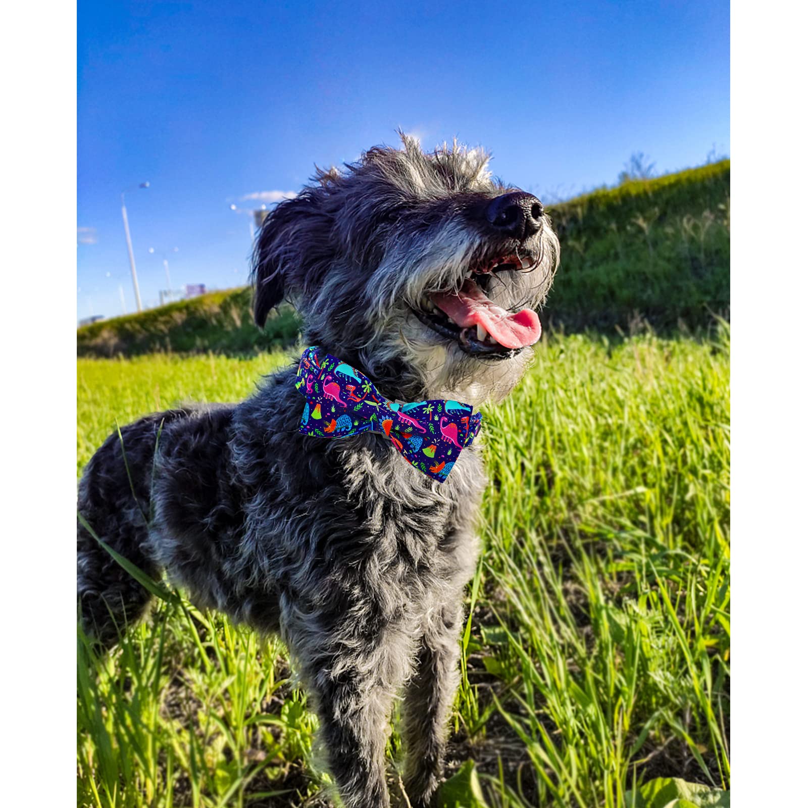 Lionheart glory Dog Collar, Blue Dog Bow Collar Boy Dog Collars with Bow Adjustable Dinosaur Bowtie Collar for Small Dogs Pet Gi