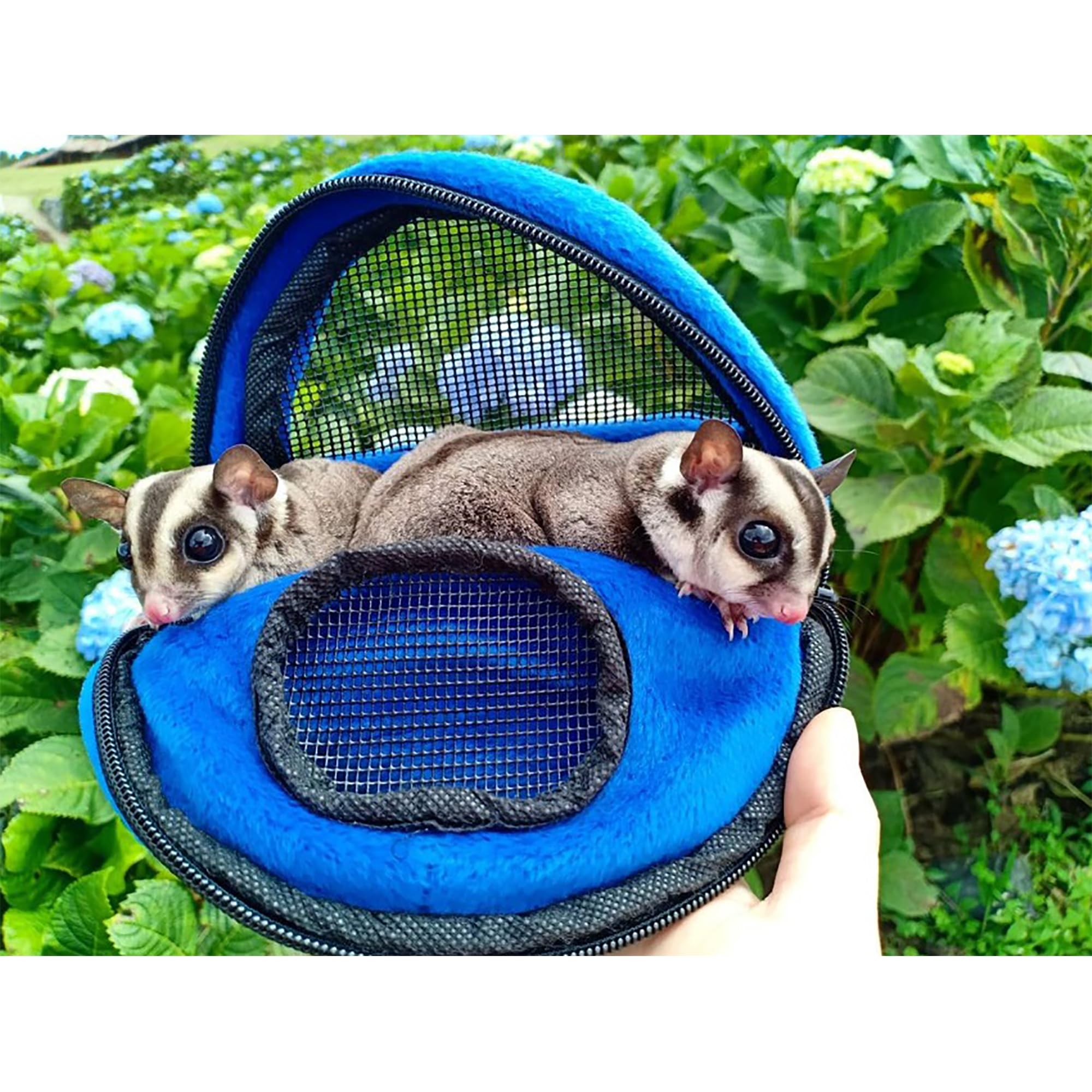 Kucci Carry Pouch - Fleece Travel Bonding Carrier Bag - For Sugar Gliders, Squirrels, Marmosets, Hamsters, Rodents, Rats, Reptil