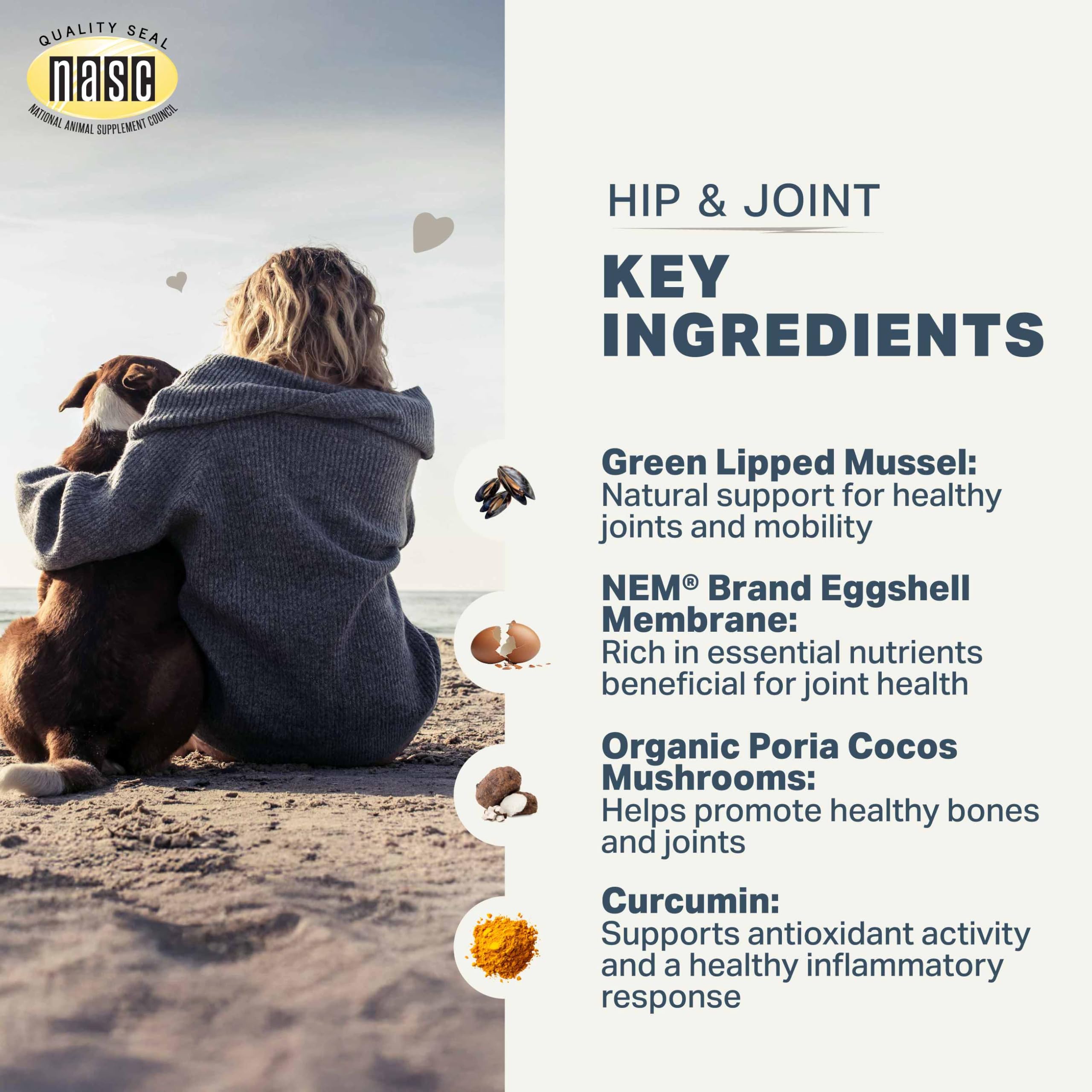 Hip & Joint - Joint Supplement for Dogs with Green Lipped Mussel, Eggshell Membrane and Curcumin - Veterinarian Formulated - 60