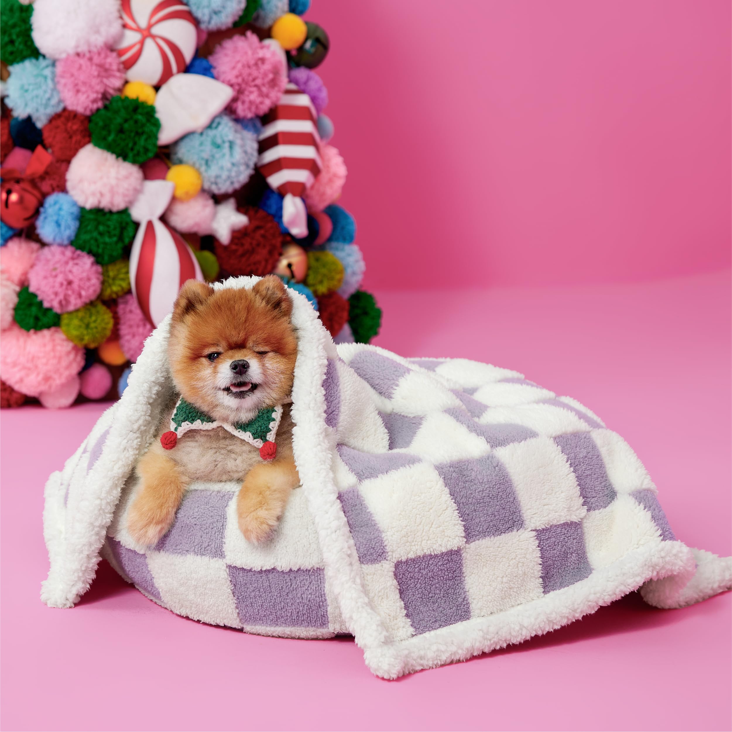 Lesure Waterproof Puppy Blanket For Small Dogs - Washable Double Sided Dog Blankets With Warm Jacquard Shag And Soft Sherpa Fleece, Pet Cat Blanket For Couch Protection, 3D Textured Cloud, Purple