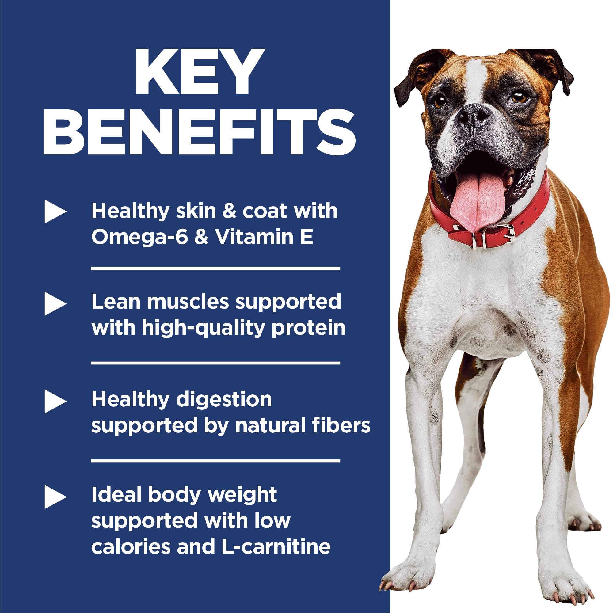 Hills Science Diet Light , Adult 1-6, Weight Management Support, Dry Dog Food, Chicken & Barley, 30 lb Bag