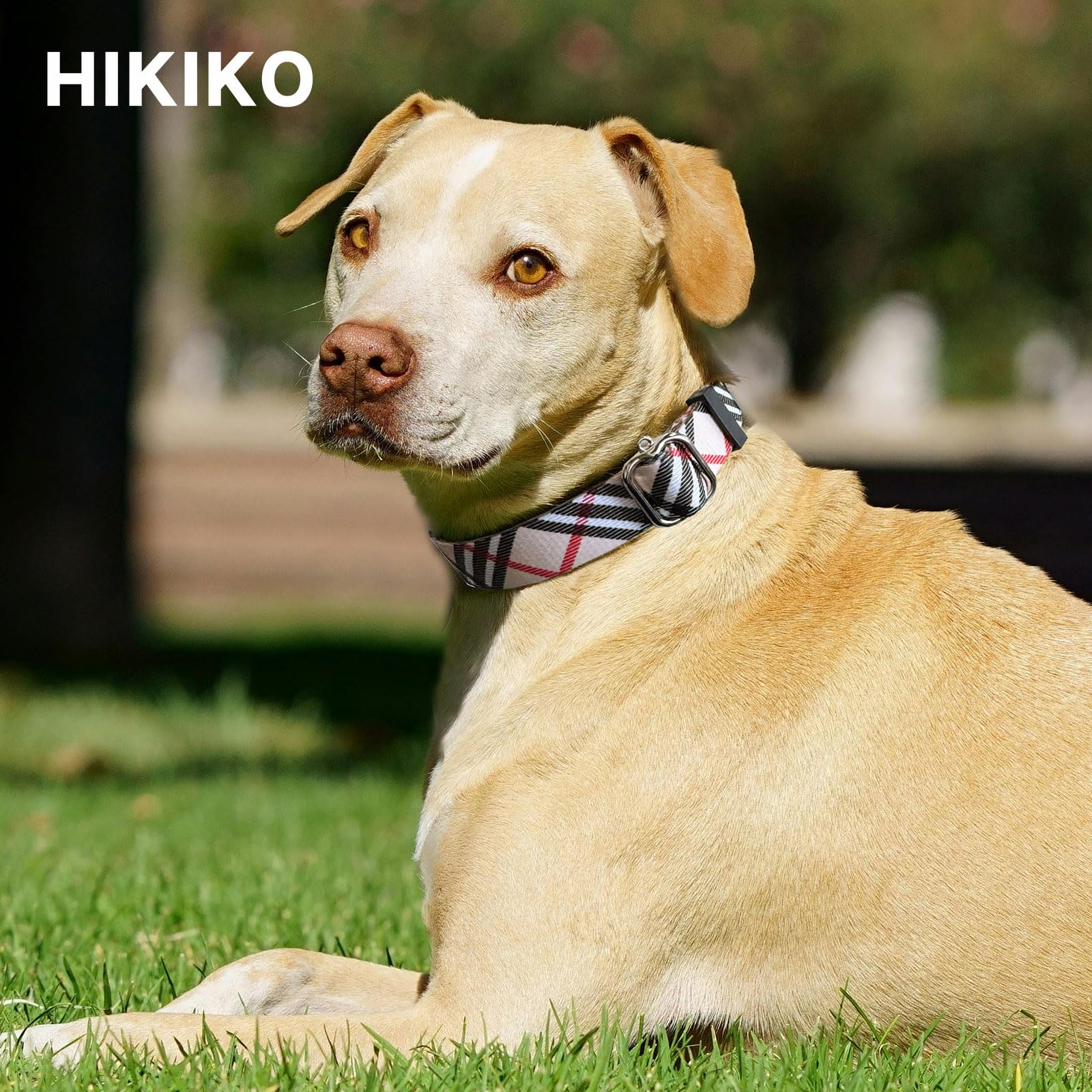 Hikiko Martingale Collar For Dogs With No Buckle Nylon Training Dog Collars For Small Dogs,Khaki Plaid,S