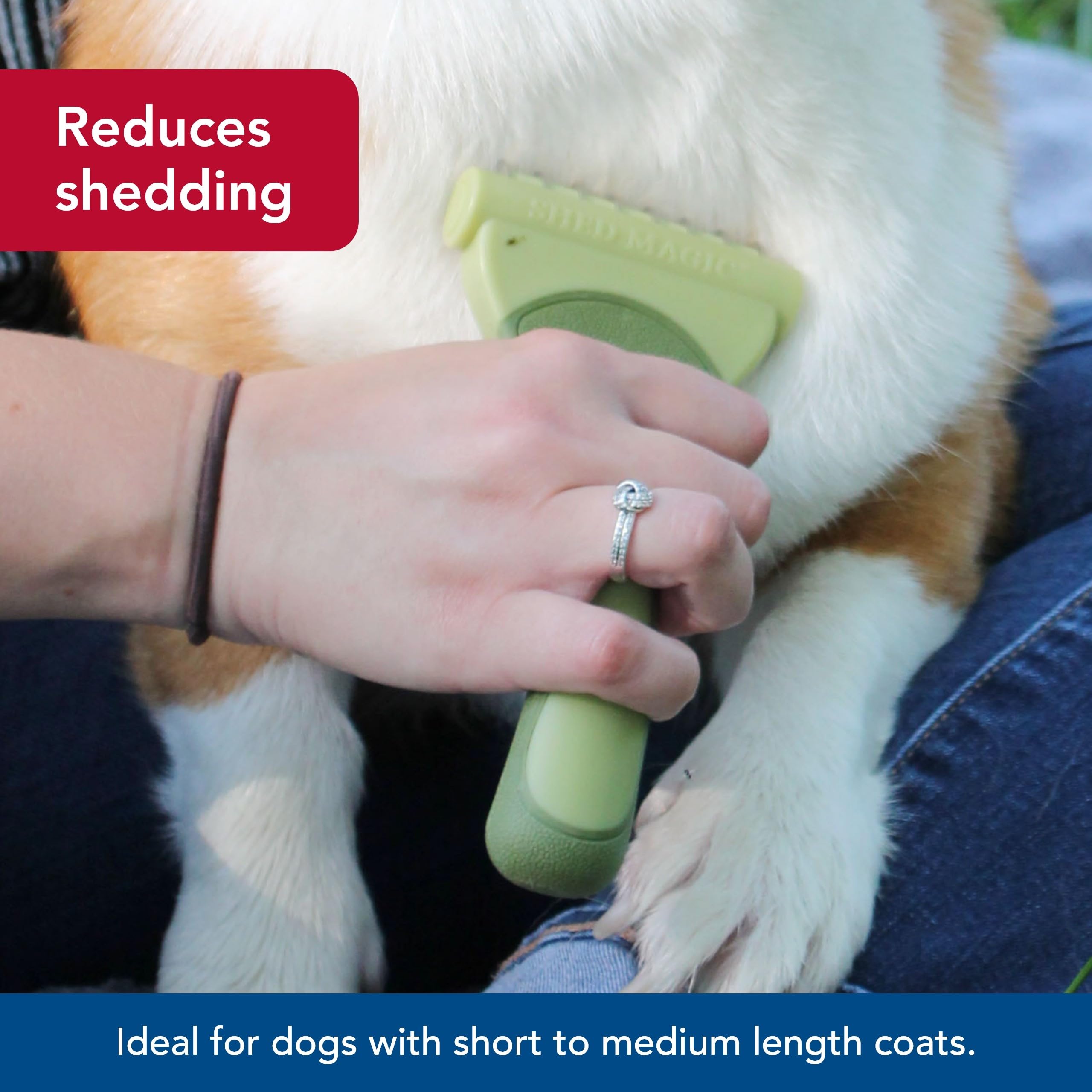 Coastal Pet Safari Shed Magic Deshedding Tool For Dogs With Medium To Long Hair - Deshedding & Detangling Dog Brush - Large