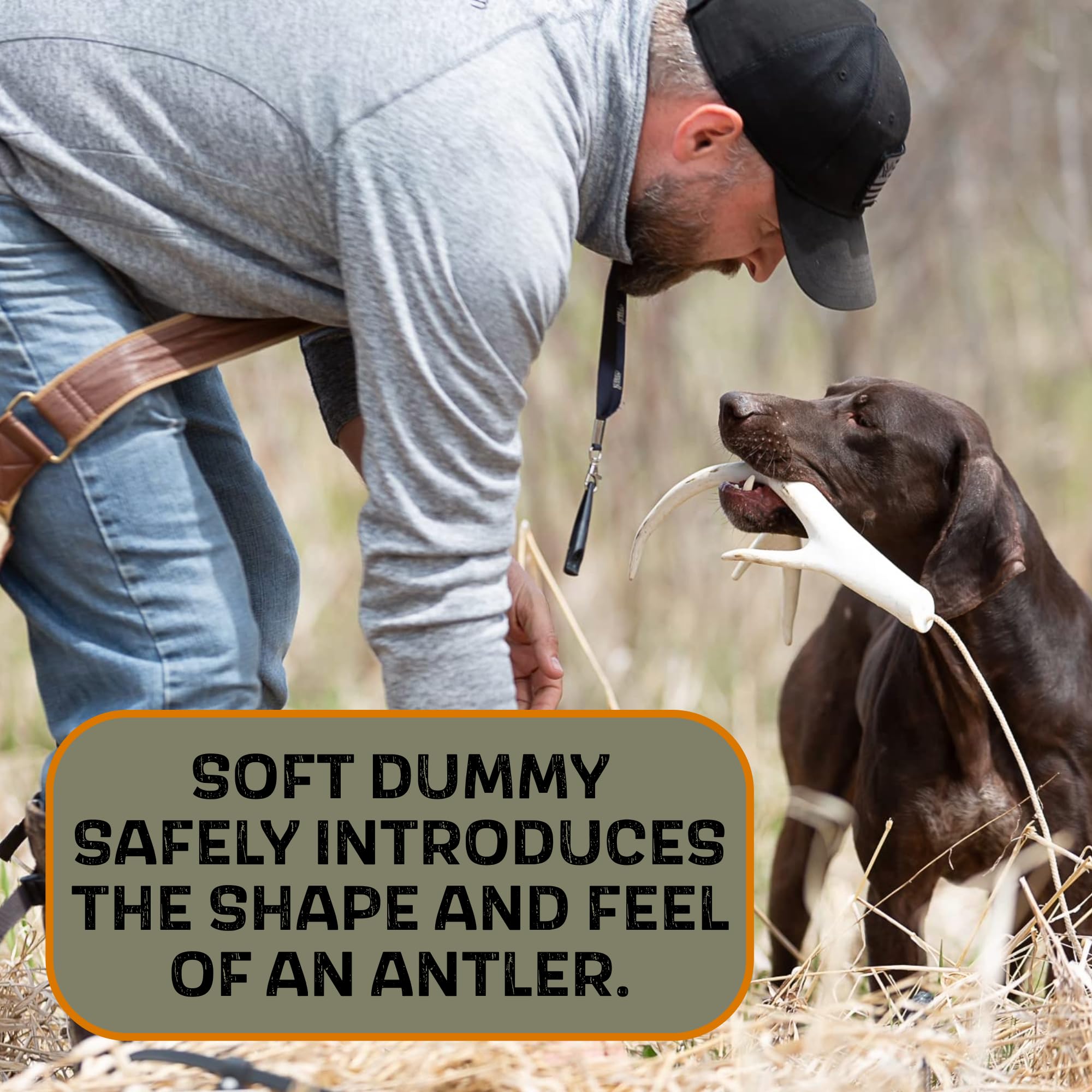 Dogbone Shed Dog Training System | Dog Training Kit | Hunting Dog Accessories | Dog Training Tools | Dog Scent Training Kit | Scent Training For Dogs | Hunting Dog Toys