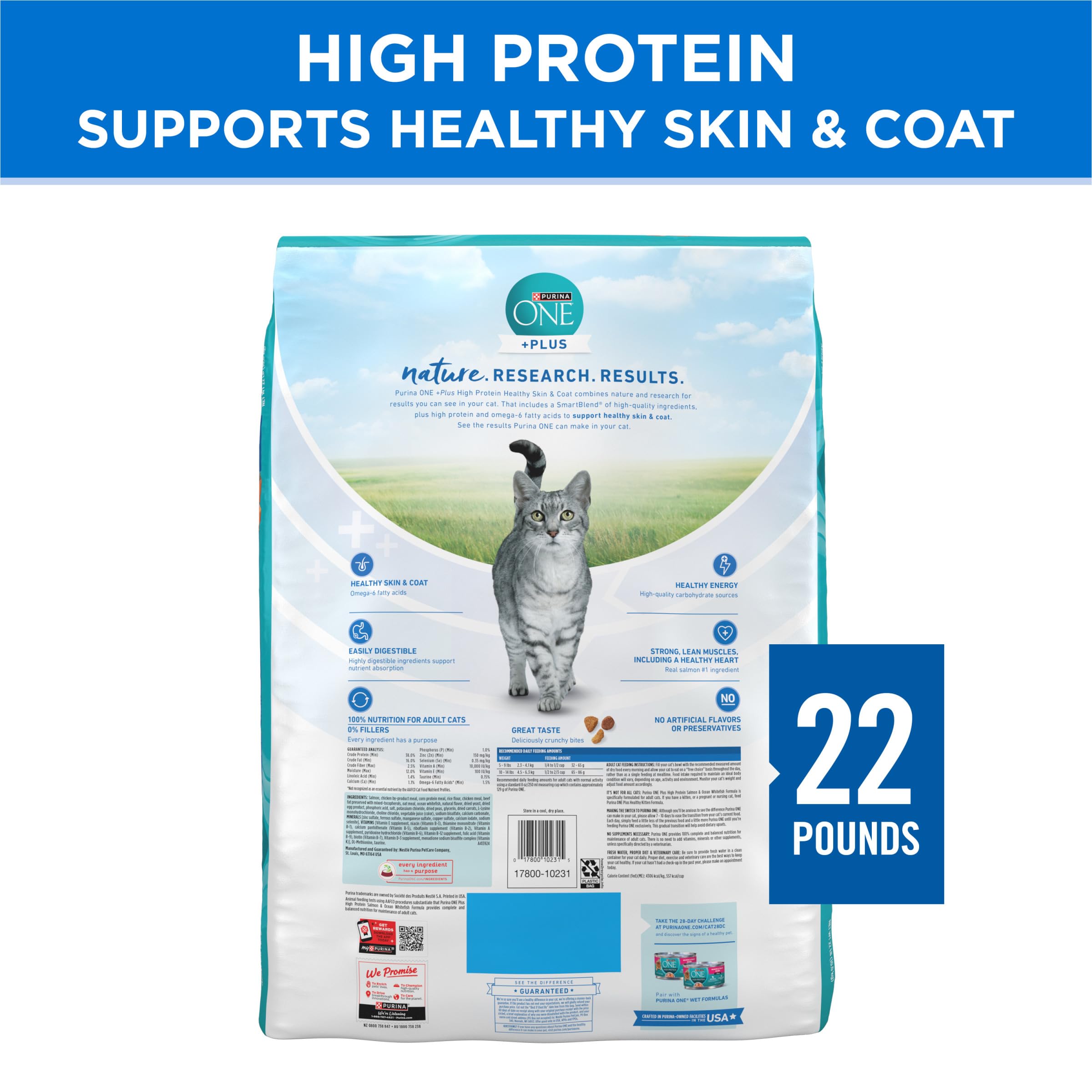 Purina ONE Plus High Protein Cat Food Dry Salmon and Ocean Whitefish Cat Skin and Coat Health Formula - 22 lb. Bag