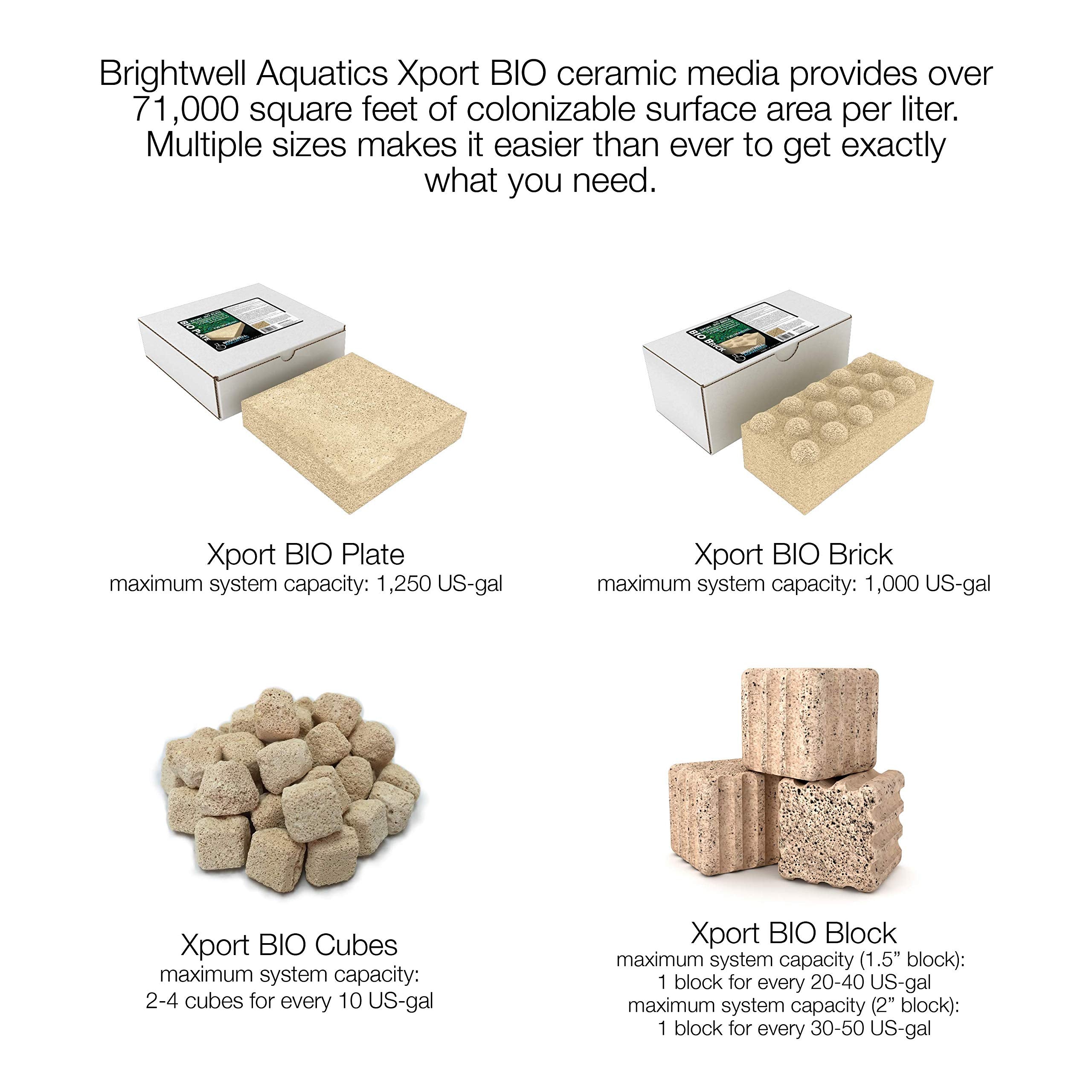 Brightwell Aquatics Xport BIO Dimpled Brick - Ultra-Porous Biological Brick Media for Marine and Freshwater Aquarium (XPBRICBIO)